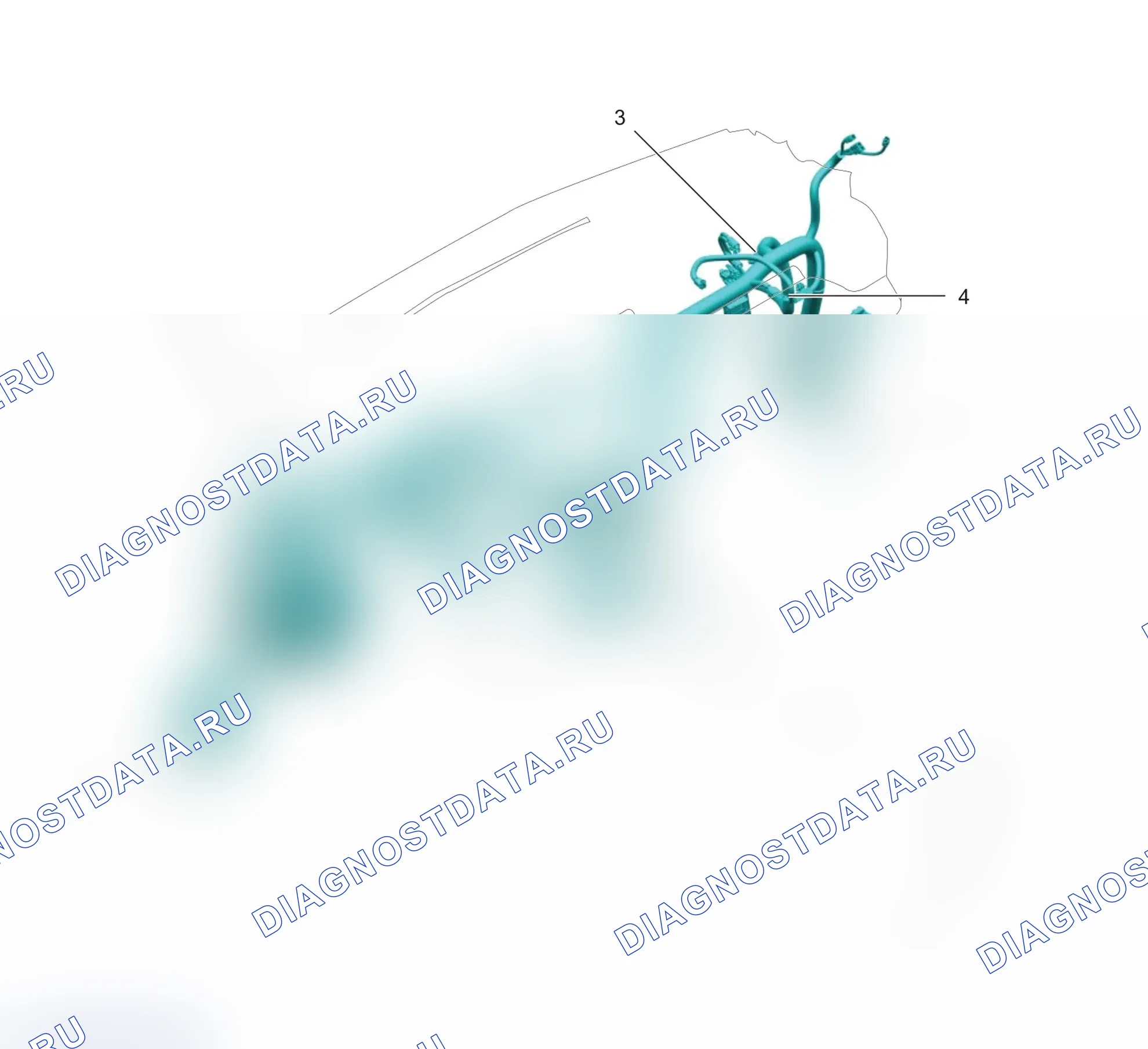 Точки заземления: Жгут проводов КИПиА (GW4D20M)-B2 (схема заземления). Great-Wall King Kong Cannon I