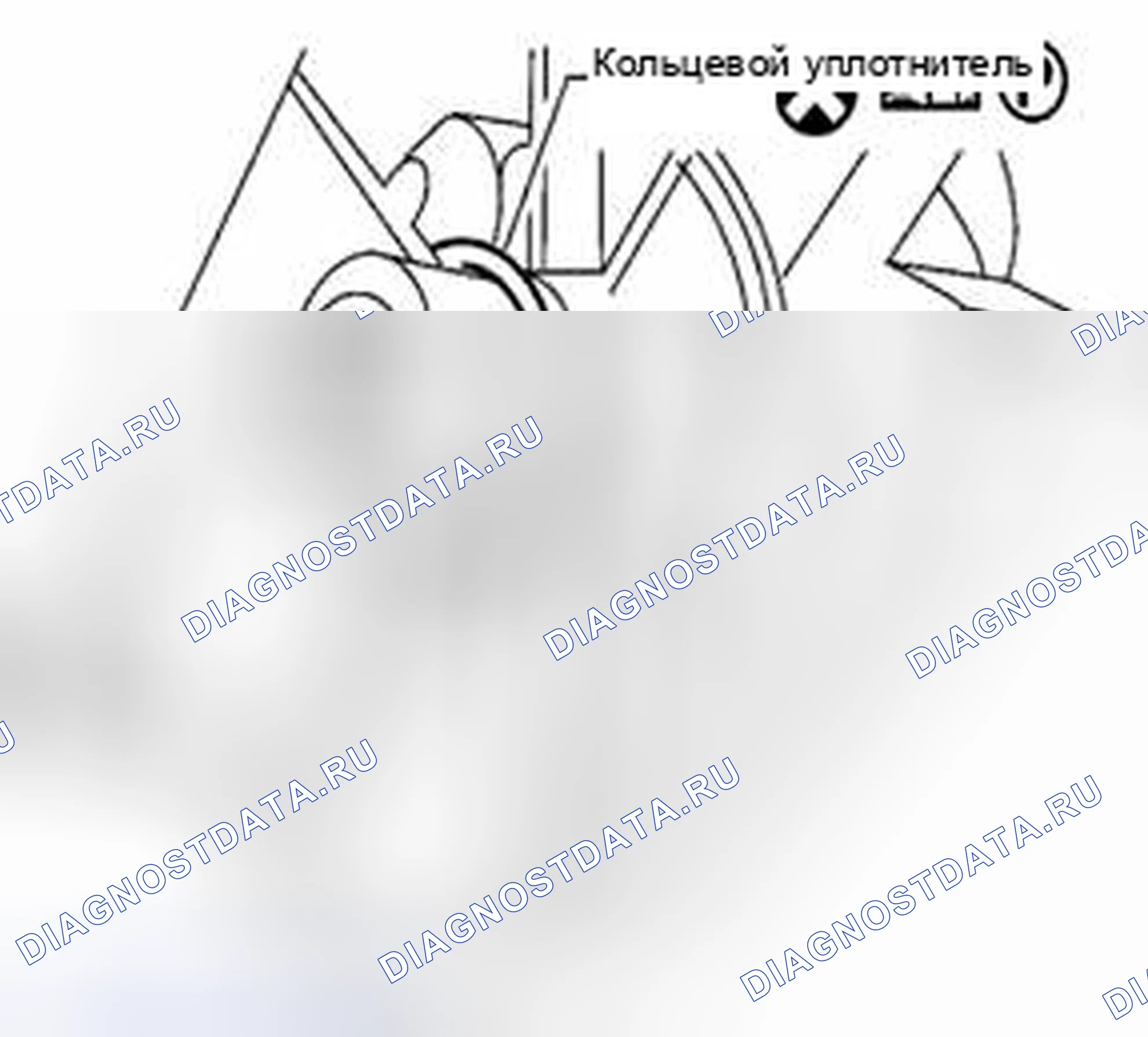 Рис. 118: УСТАНОВКА. Suzuki Equator I