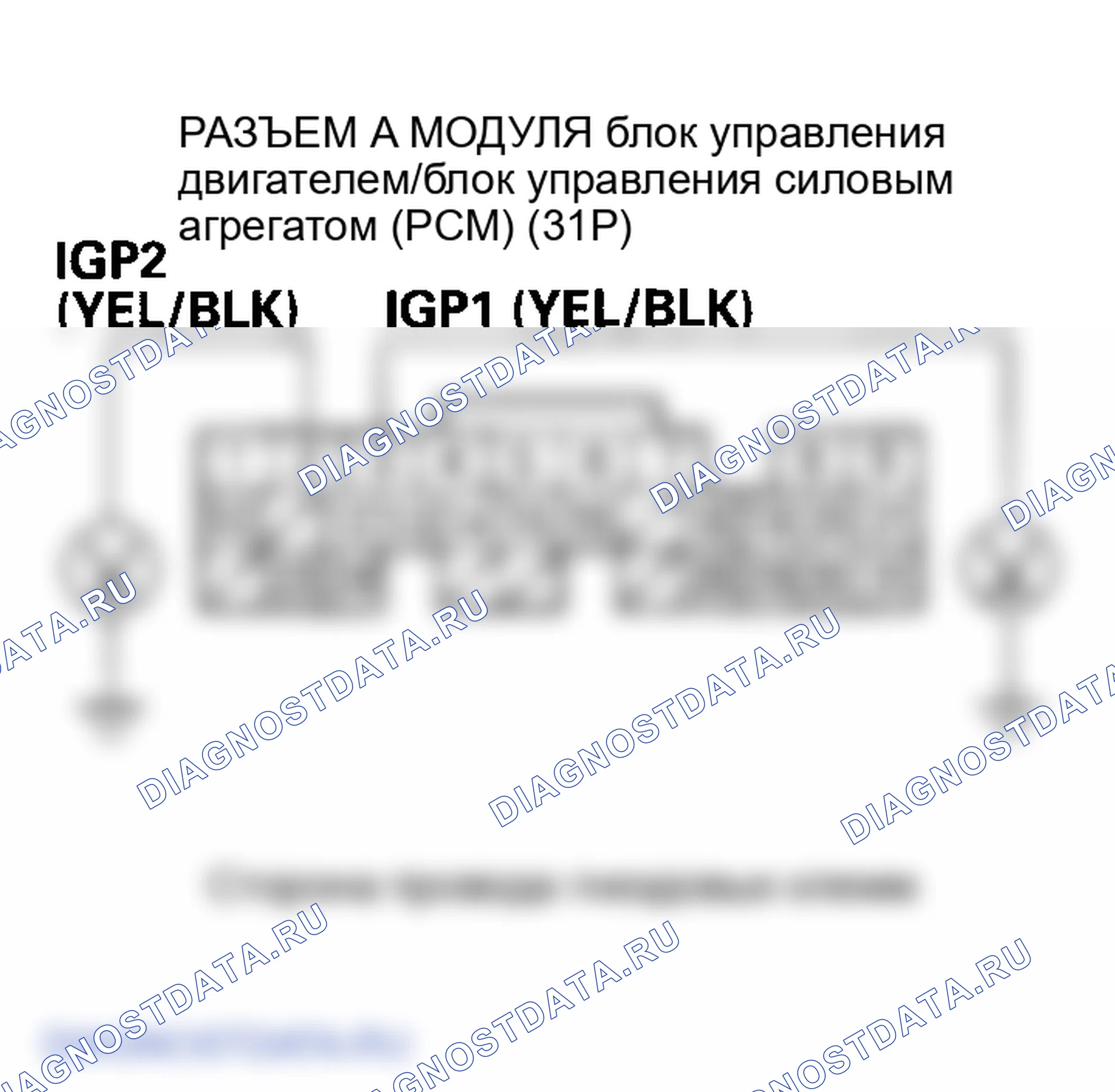 Рис. 145. Honda Element I