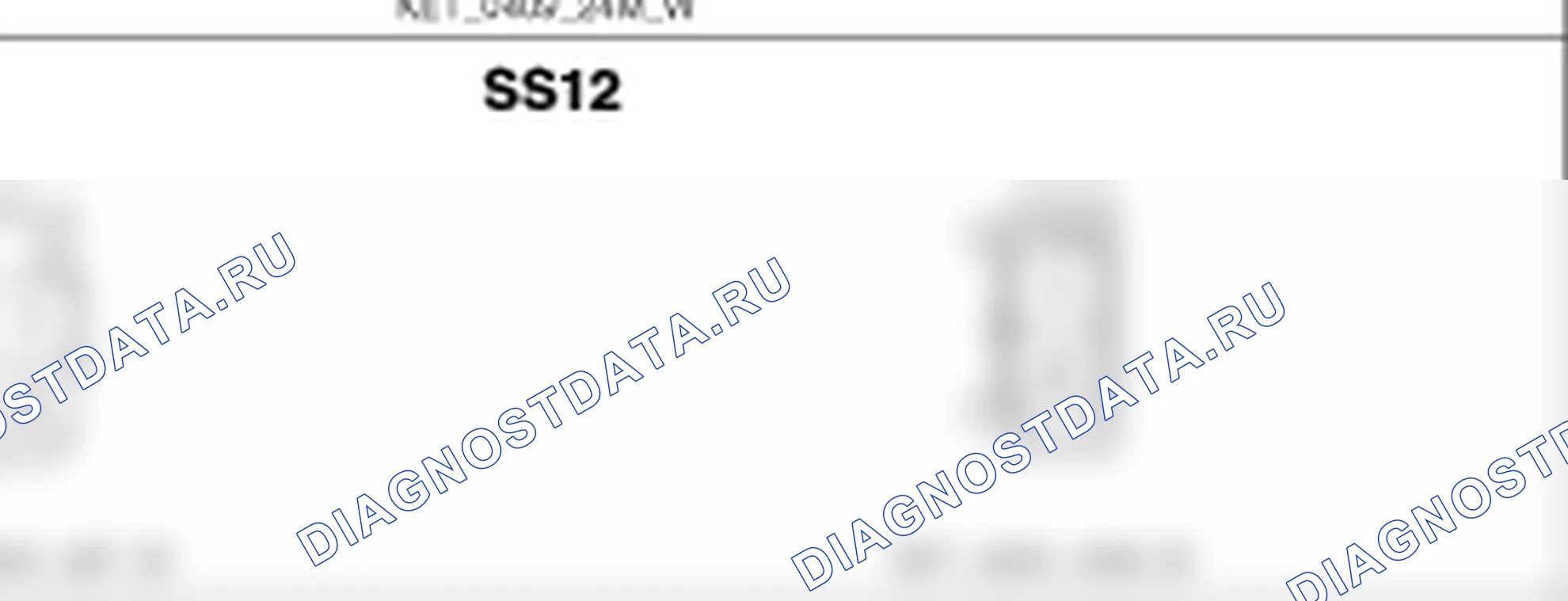 Распиновка разъёма SS12 — harness connectors. Hyundai Genesis BH