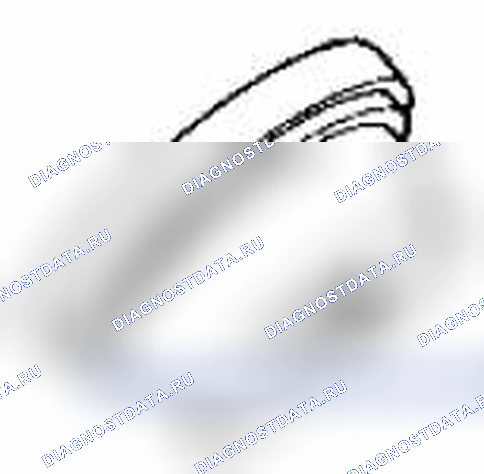Рис. 107. Suzuki Grand Vitara II рестайлинг 2