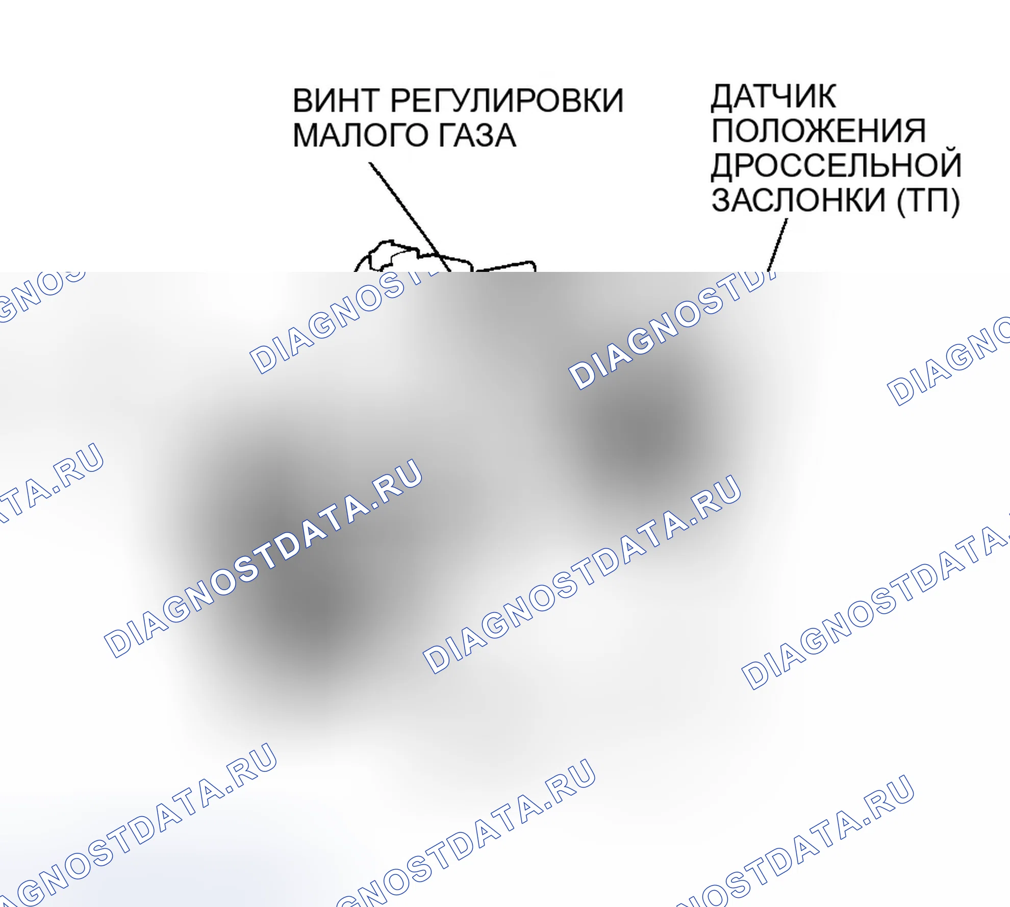 Рис. 208: Корпус дроссельной заслонки. Honda Accord VI