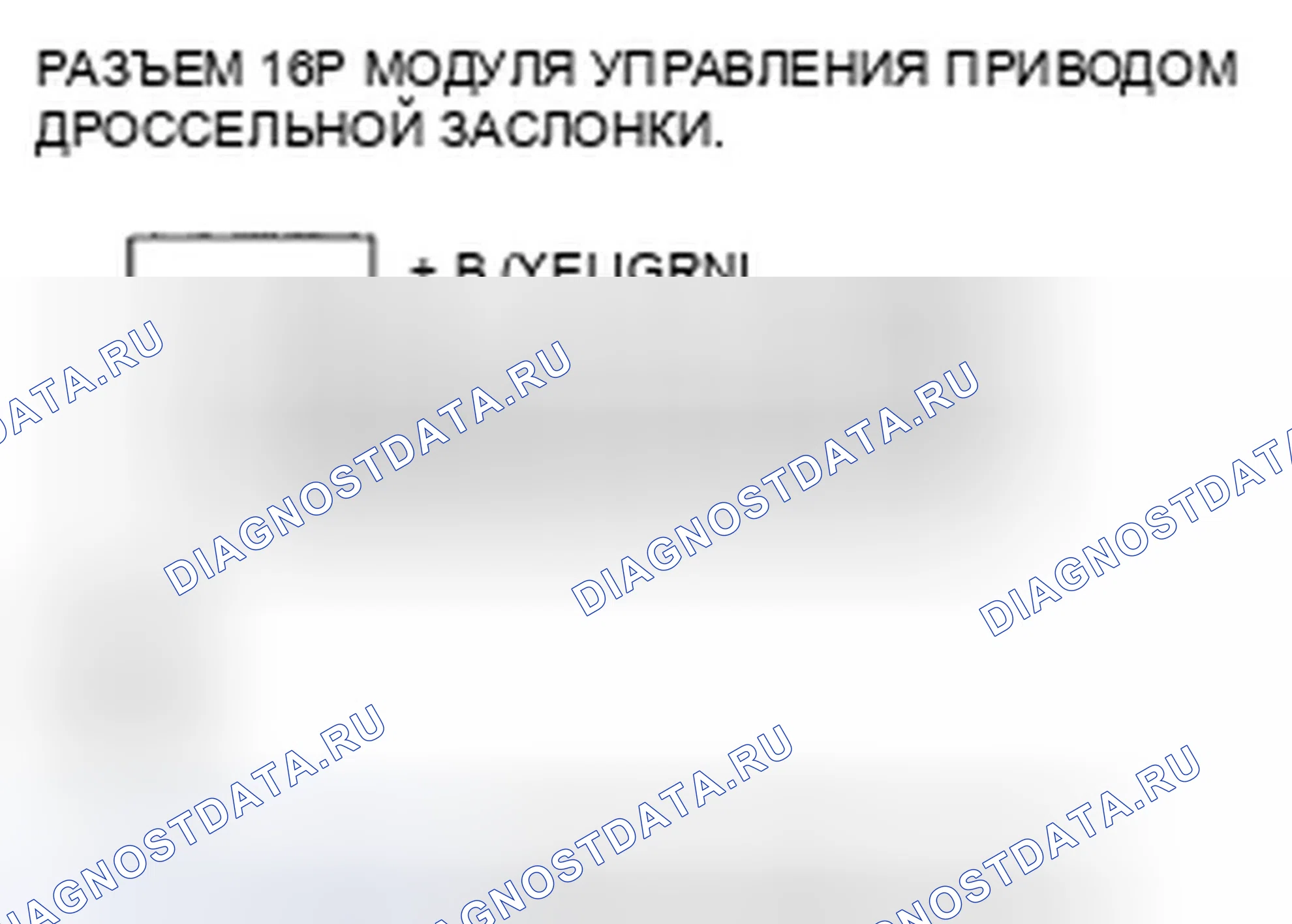 Рис. 342. Honda Element YH2 рестайлинг