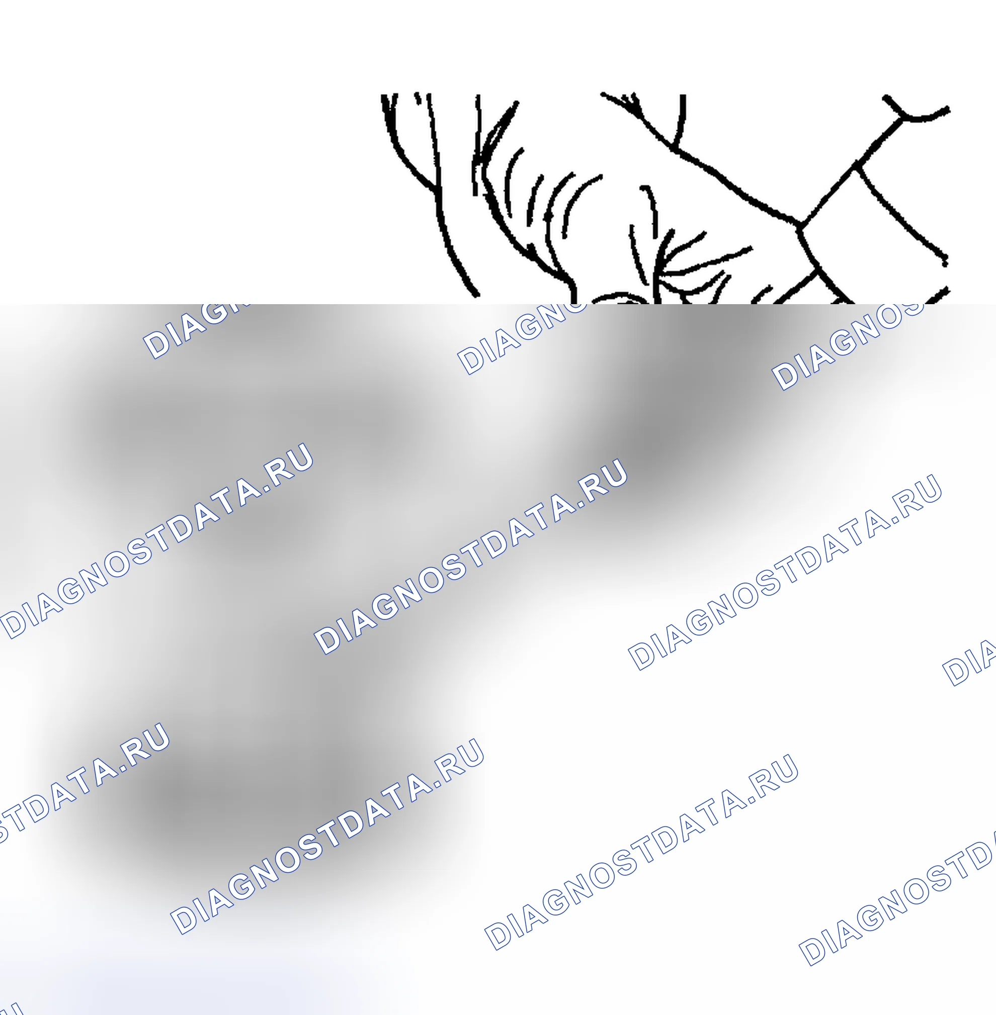 Рис. 62. Hyundai Venue I