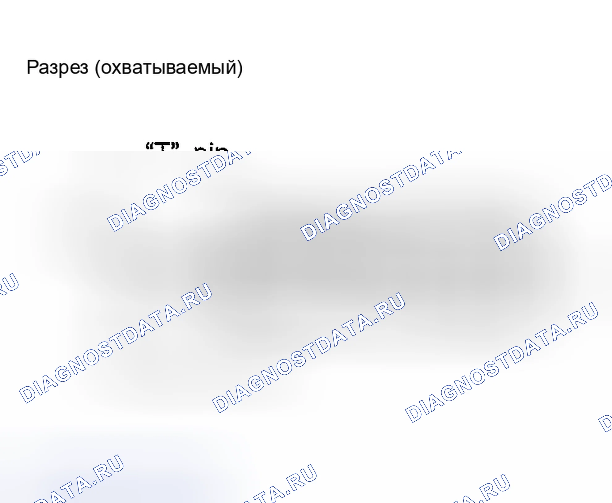 Рис. 31: Мужской терминал. Nissan Altima L31