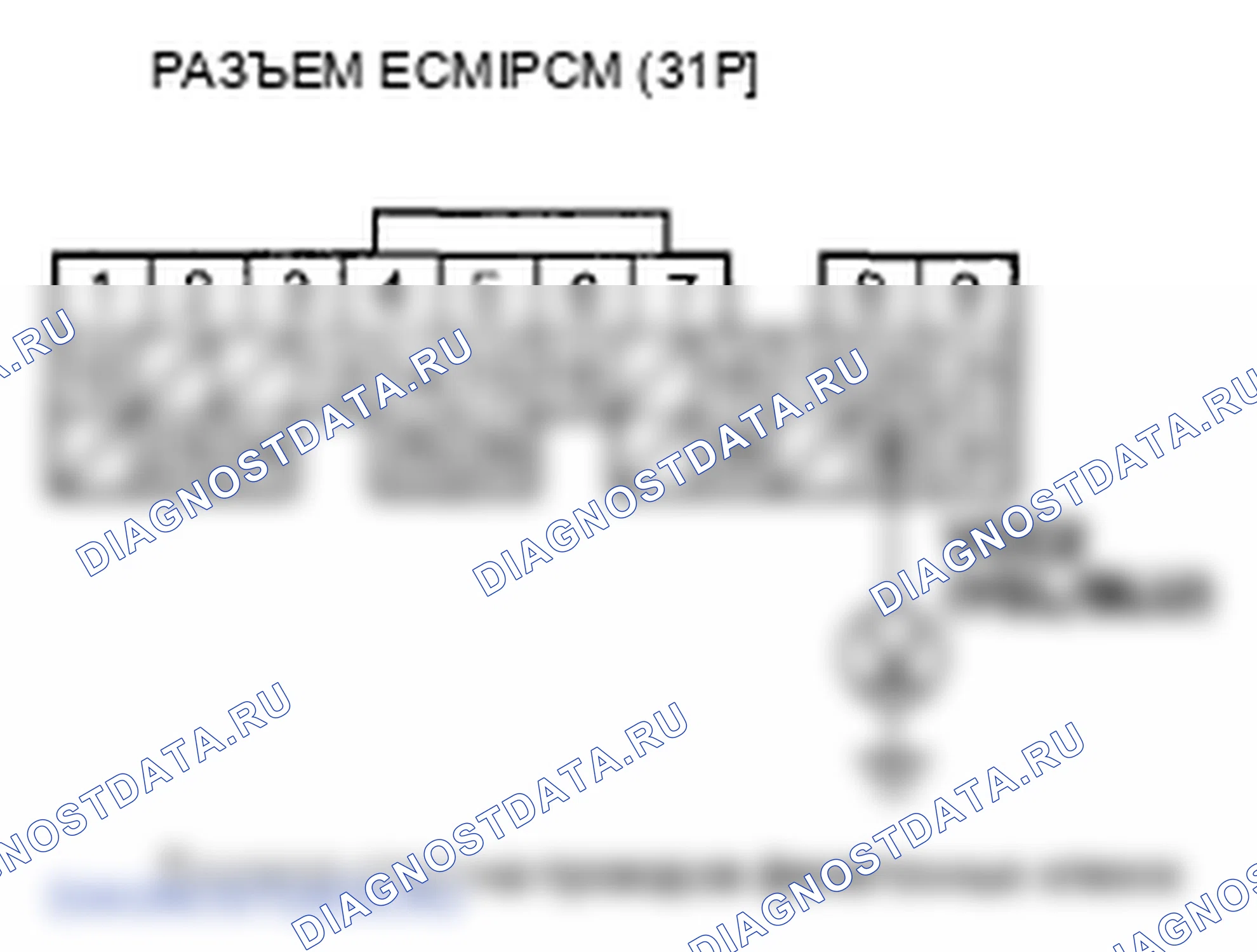 Рис. 463. Honda Element YH2 рестайлинг
