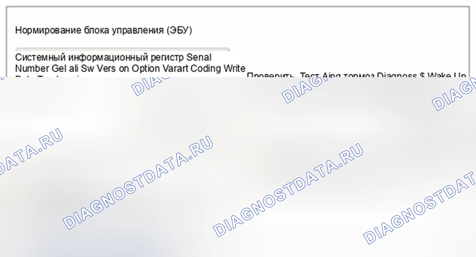 Рис. 27: Кодирование вариантов. Hyundai Equus II