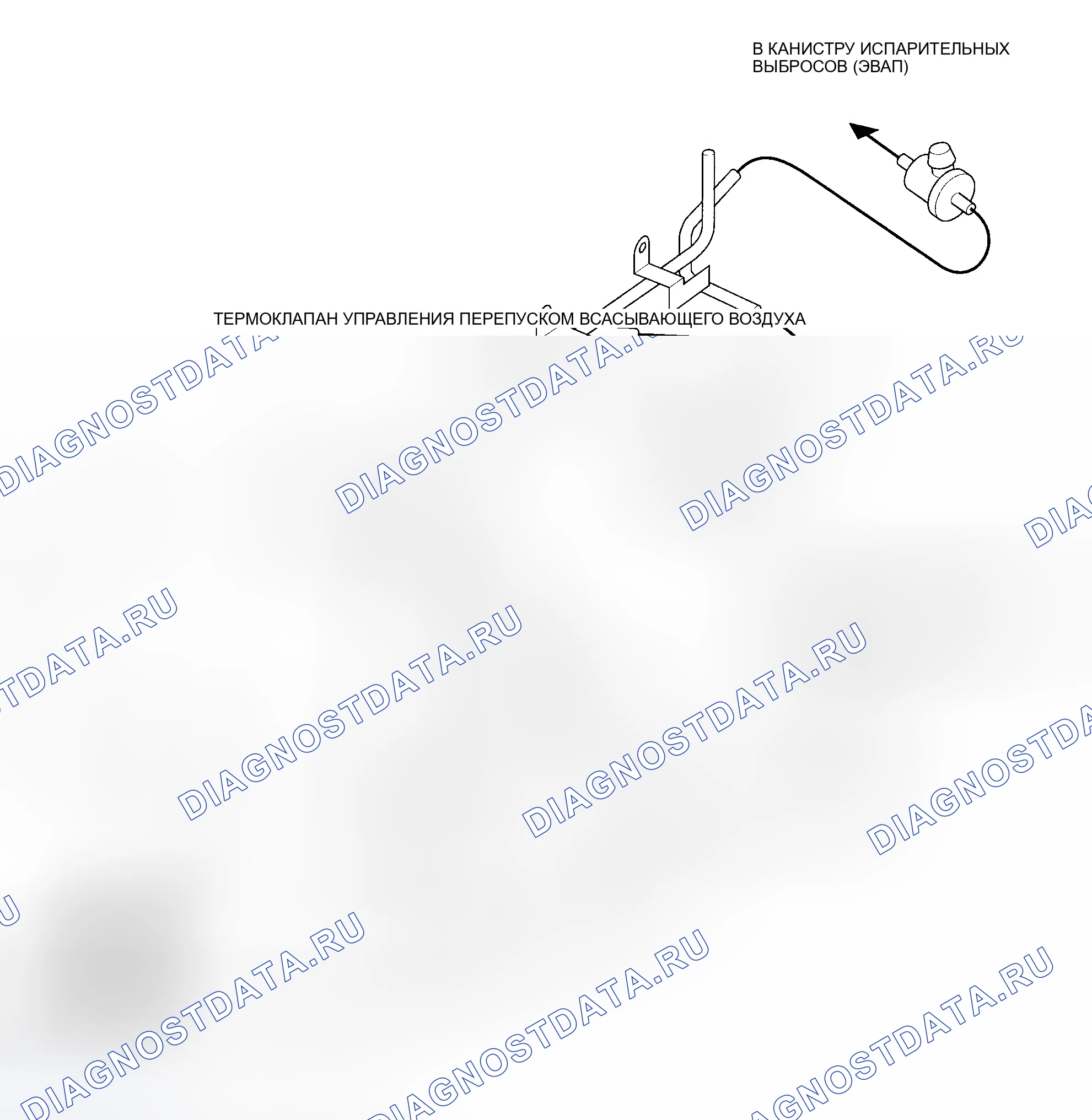 Рис. 25: Трассировка вакуумного шланга. Honda Element YH2