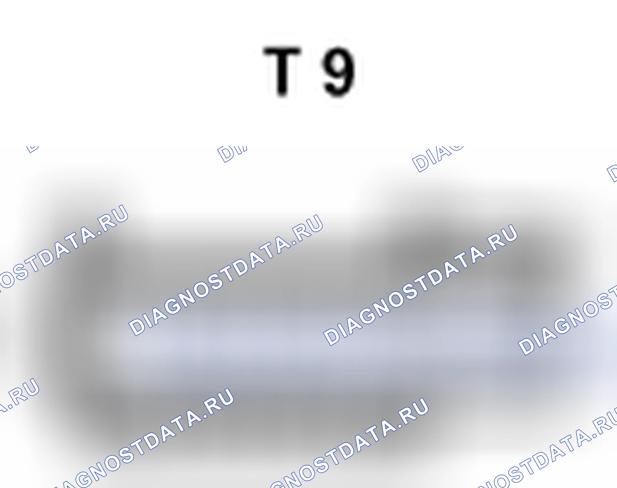 Рис. 844: Вид с торца заднего правого разъема Tweeter (T 9). Toyota Prius II рестайлинг