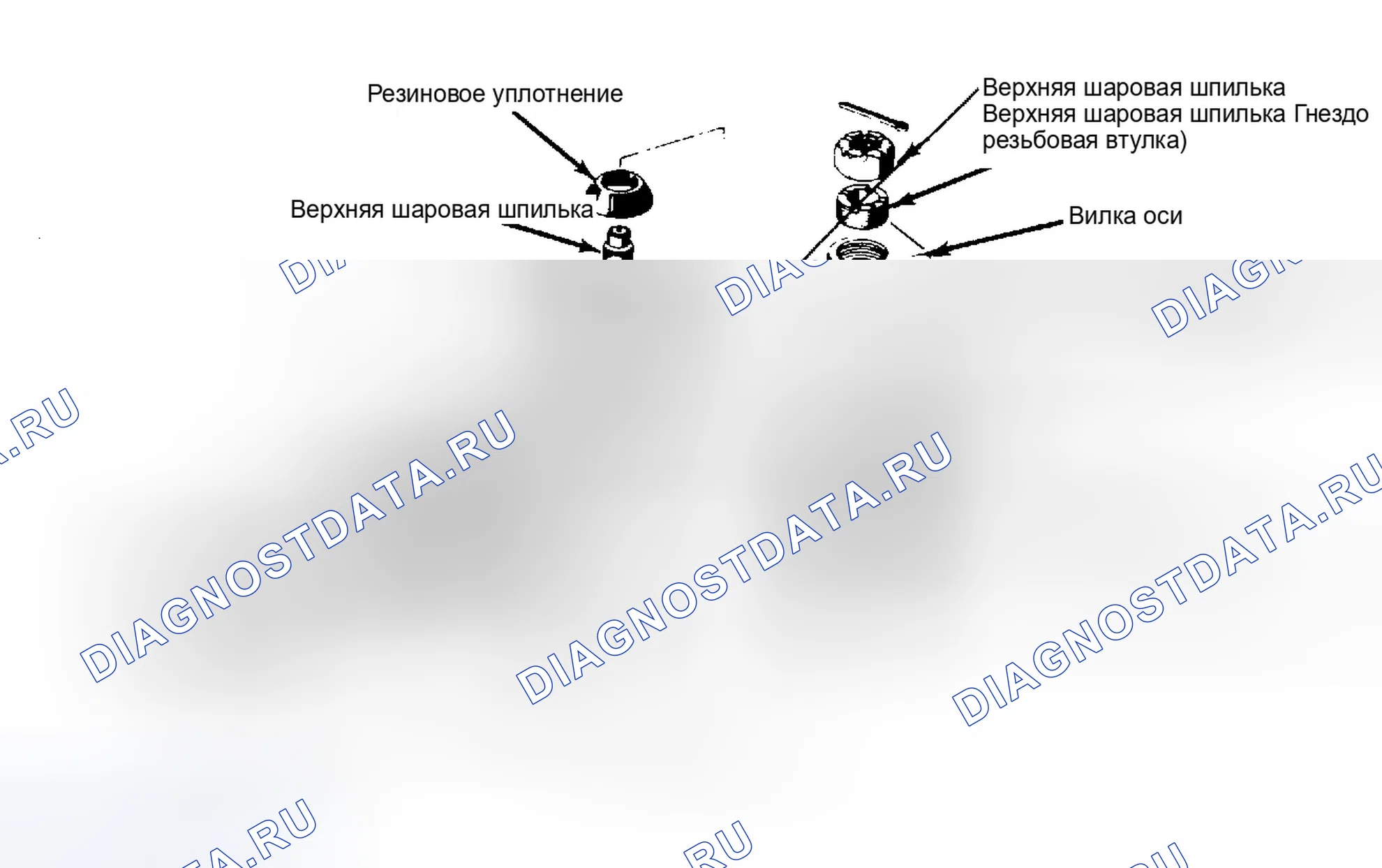 Рис. 1: Вид узла поворотного кулака шарового шарнира. Ford Ranger 