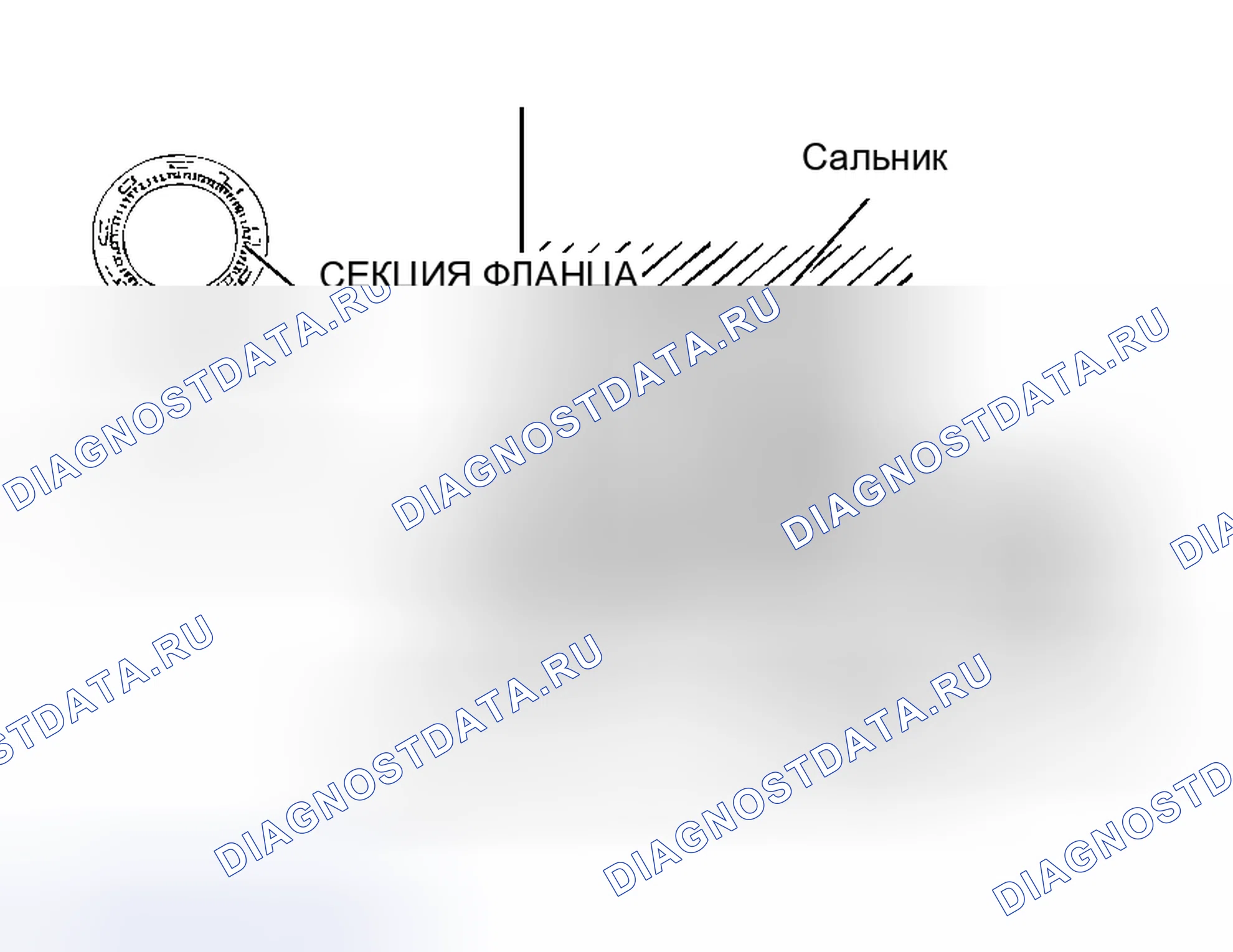 Рис. 169: < < B > > СНЯТИЕ МАСЛЯНОГО УПЛОТНЕНИЯ РАСПРЕДЕЛИТЕЛЬНОГО ВАЛА. Honda Freed+ I