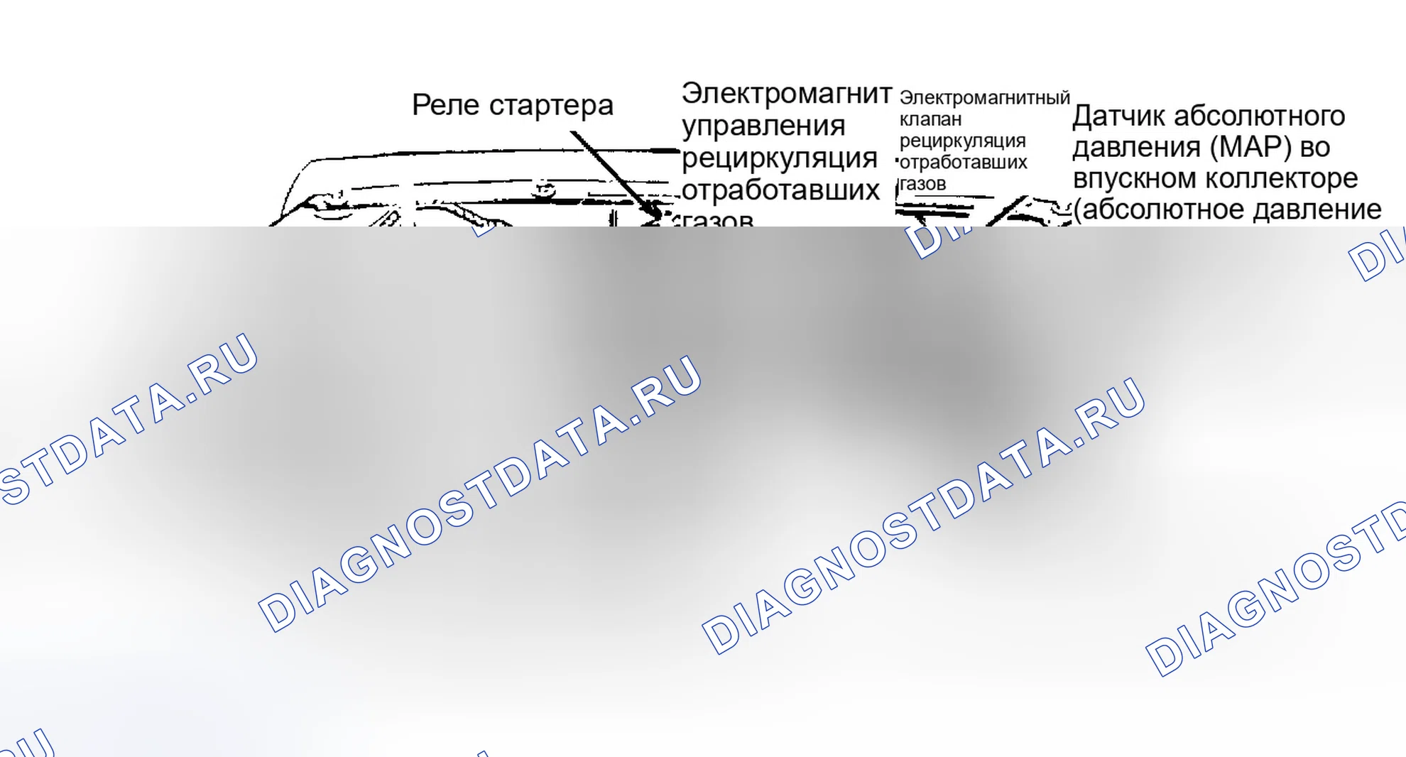 Рис. 2: Расположение компонентов (2 из 7). Ford Ranger 