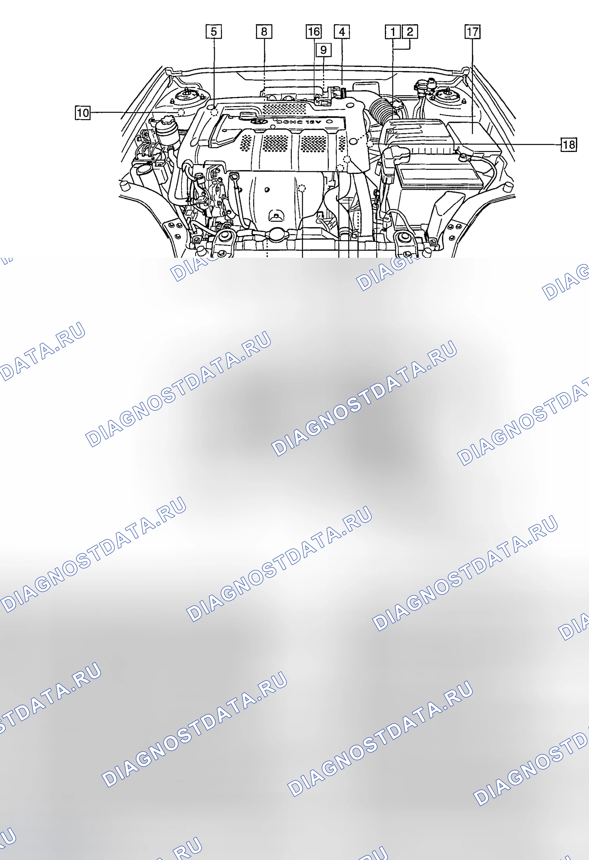 Рис. 669: РАСПОЛОЖЕНИЕ КОМПОНЕНТОВ распределённый впрыск топлива. Hyundai Tiburon II