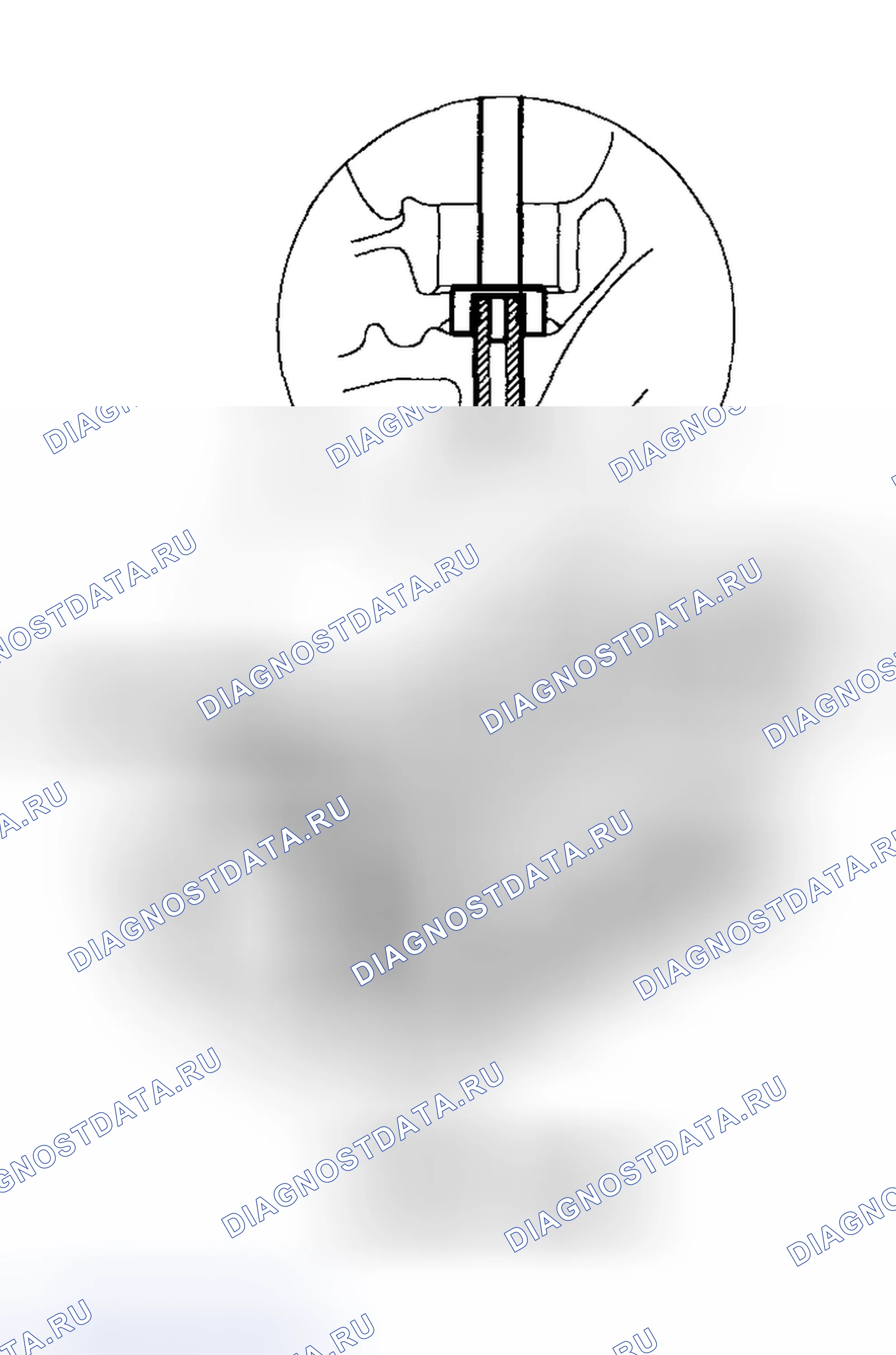 Рис. 125. Haval Chitu I