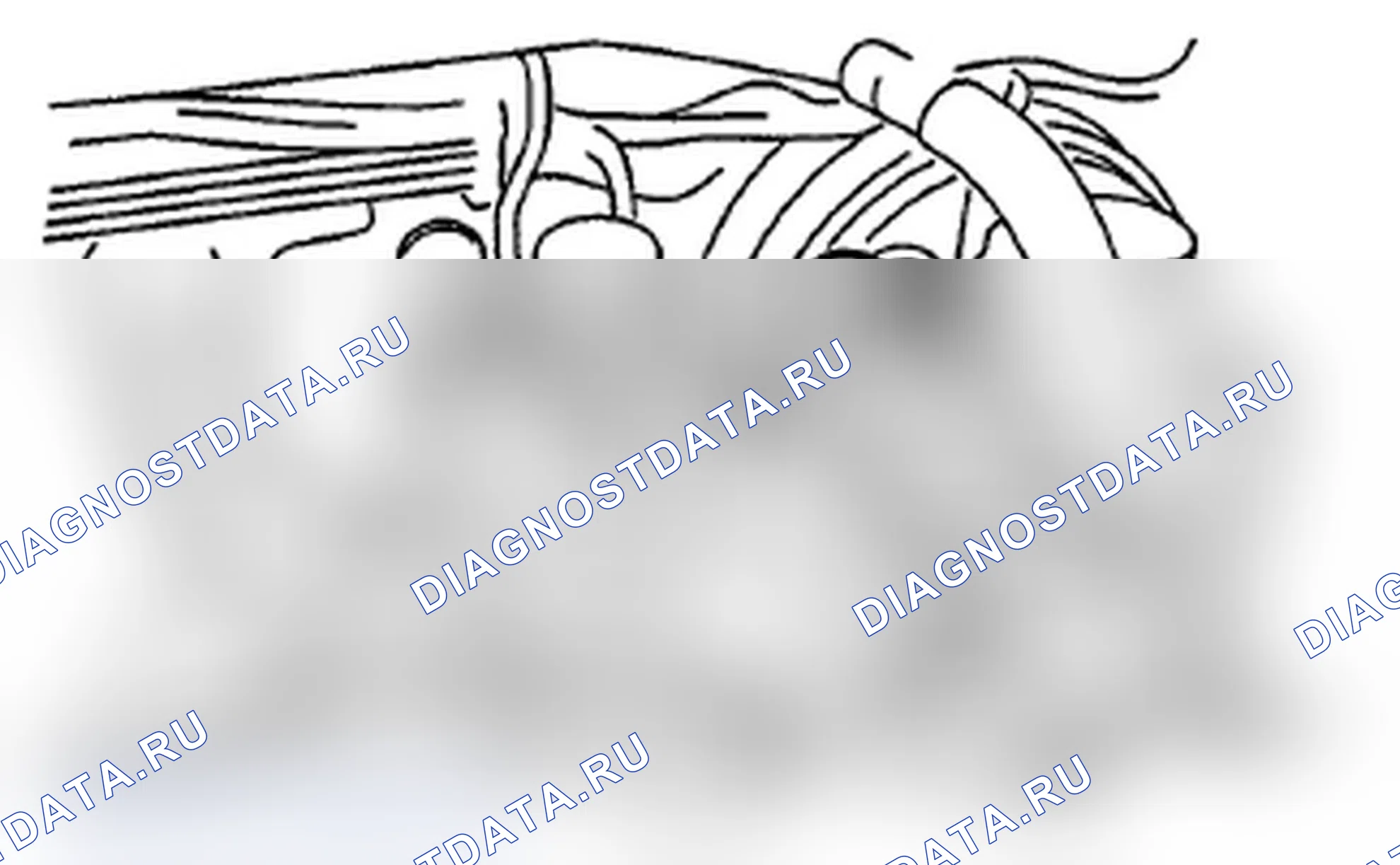 Рис. 485. Subaru Impreza WRX STI GR