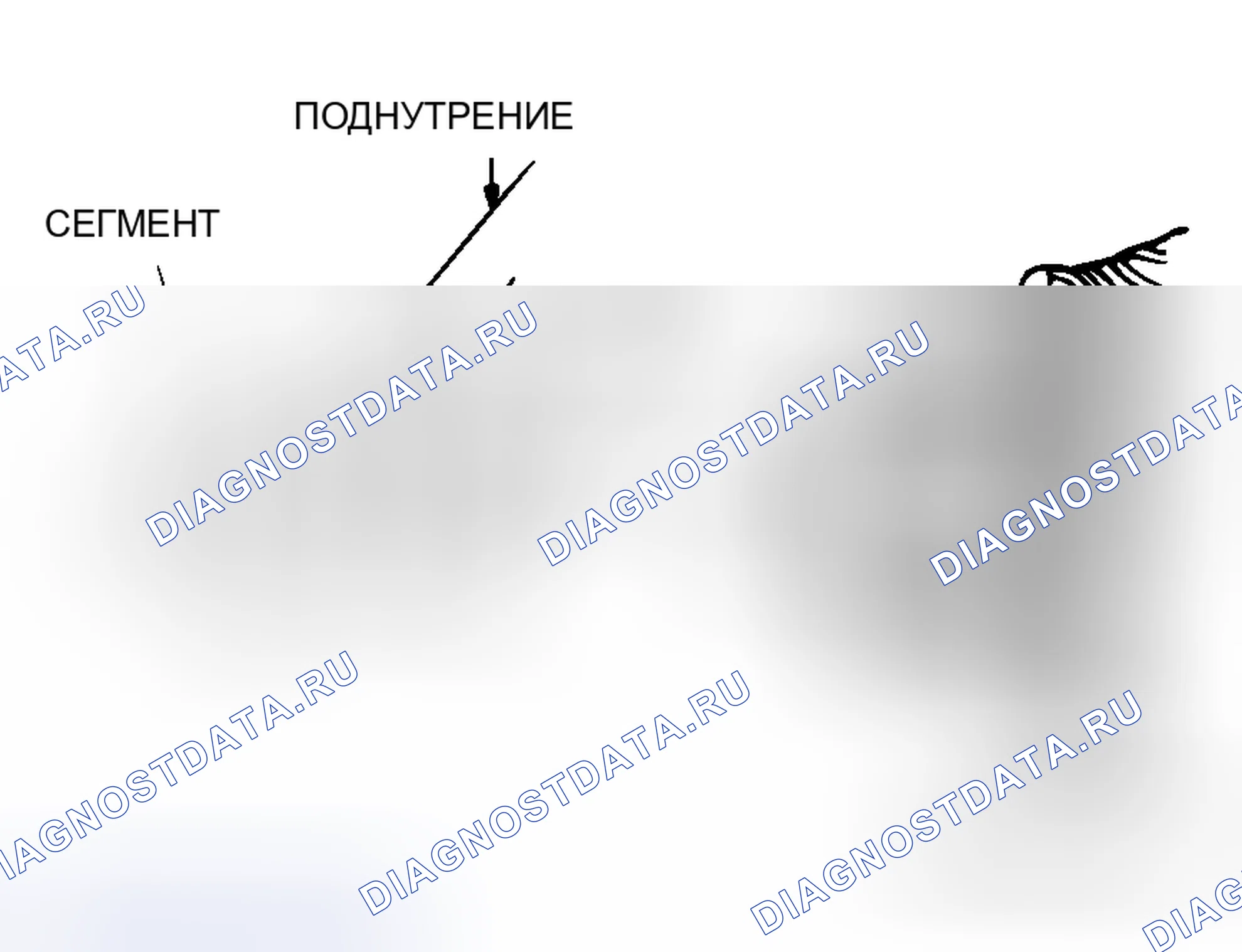 Рис. 23. Honda Fit Aria I