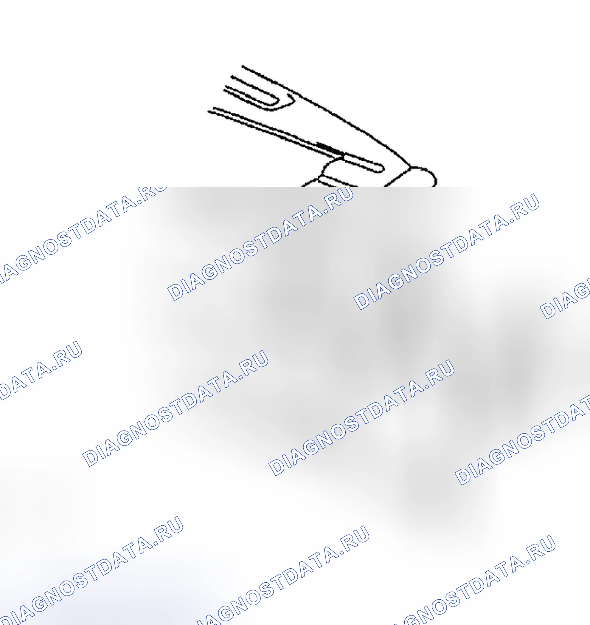 Рис. 73. Haval Menglong I