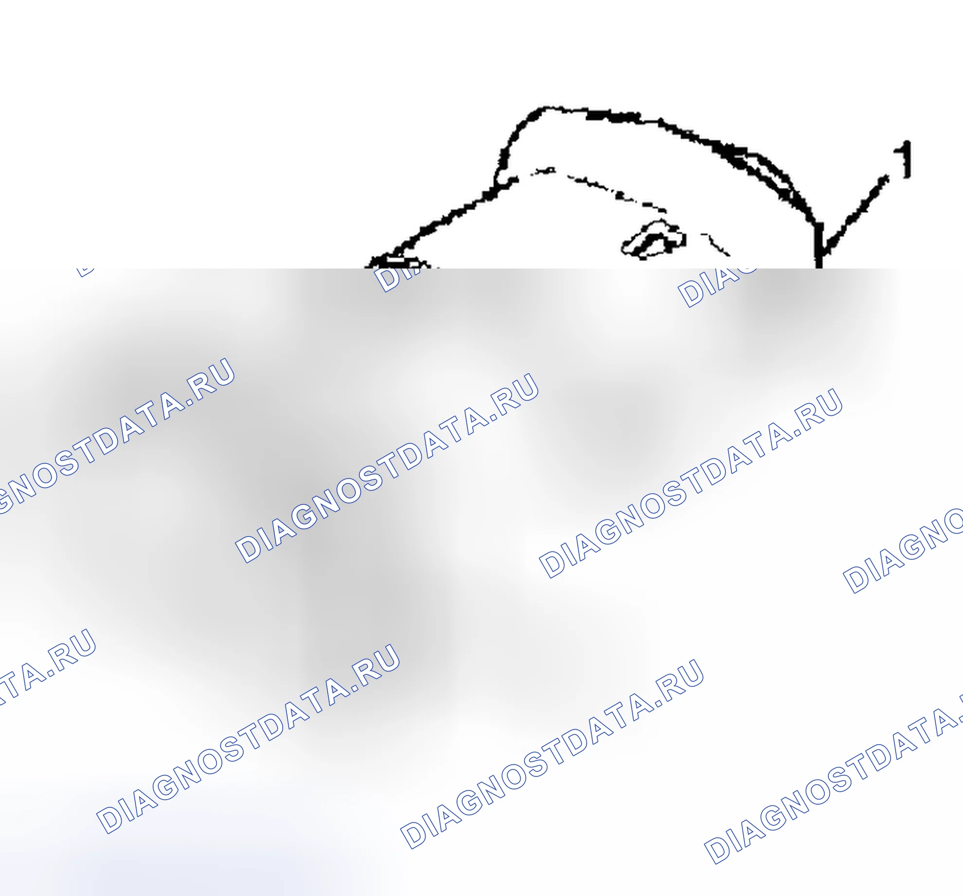 Рис. 51. Hyundai Terracan I