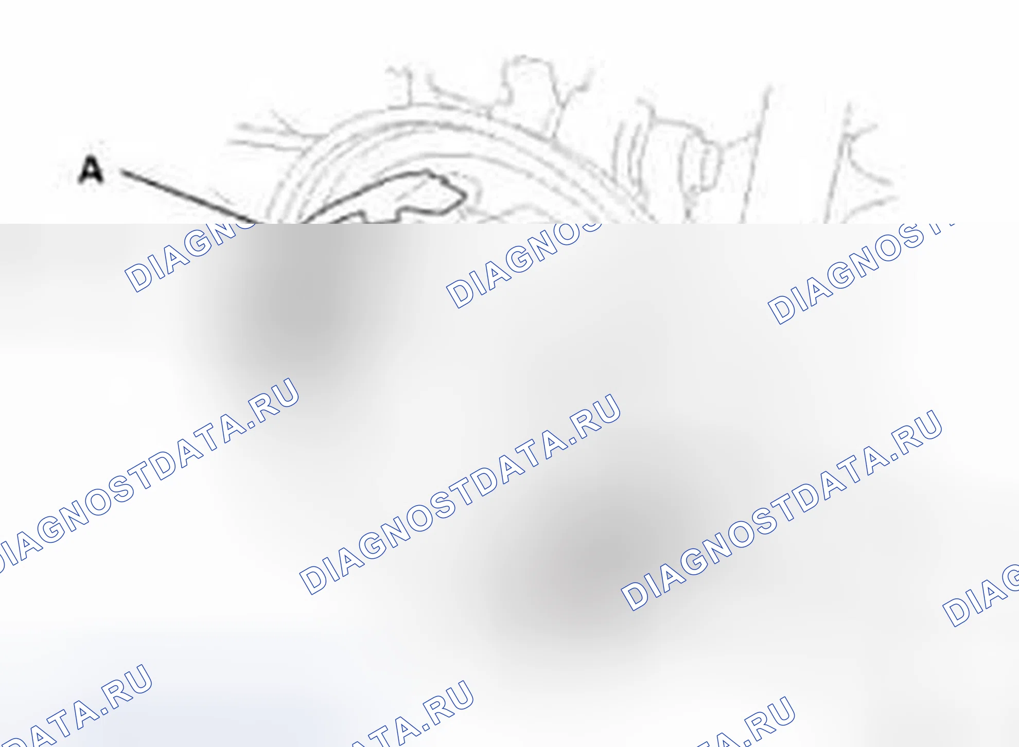 Рис. 600. Honda Civic IX