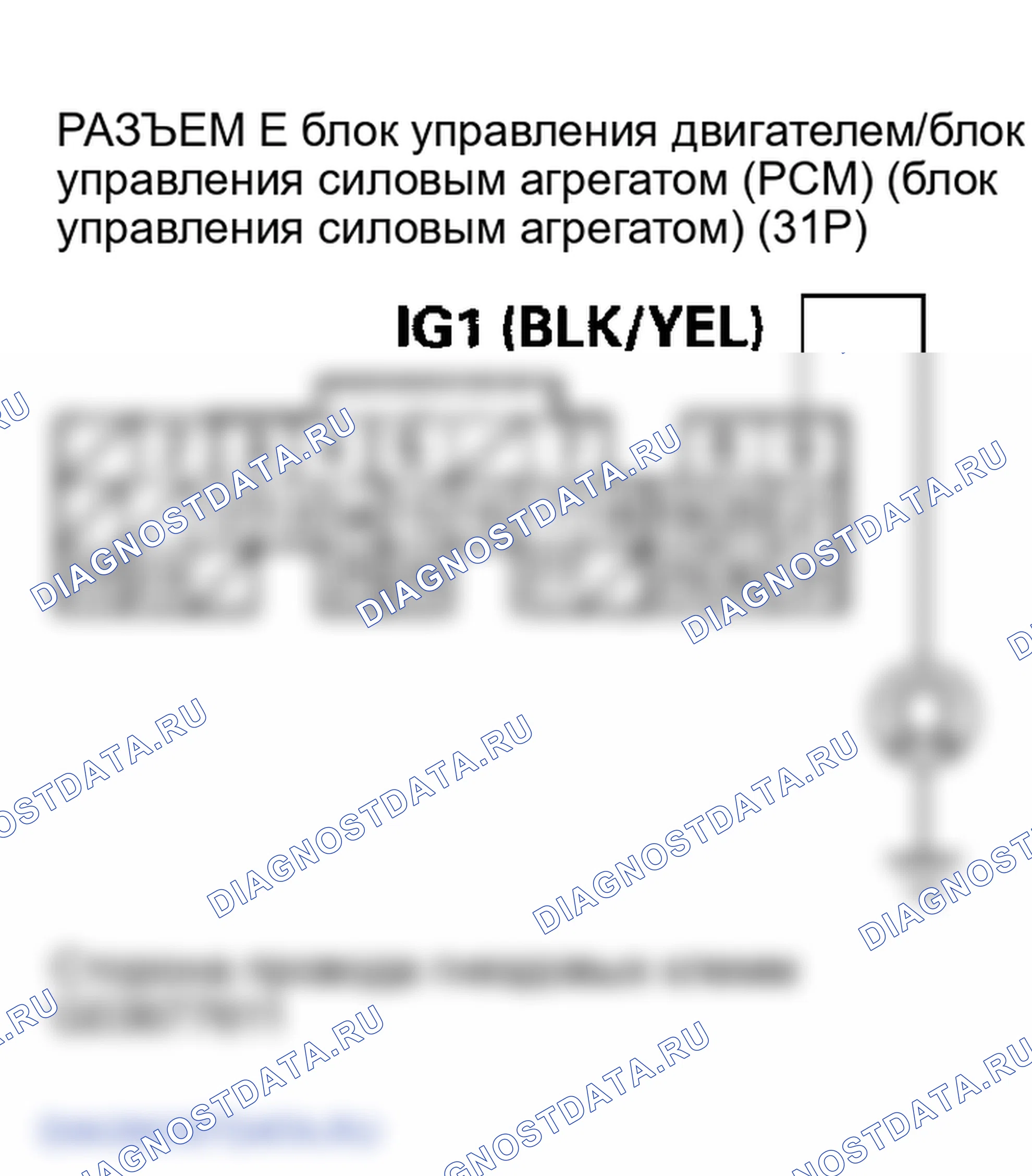 Рис. 14. Honda Element YH2