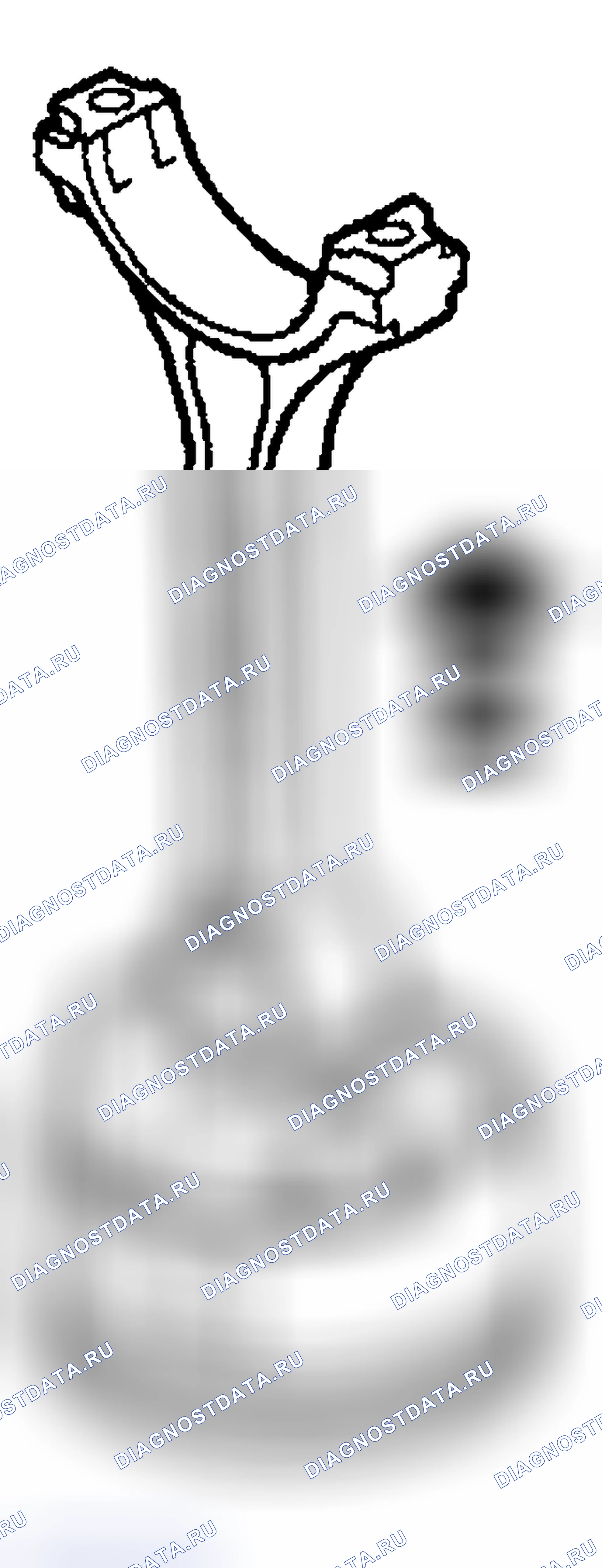 Рис. 1039. Ford Pickup F250 Super Duty I