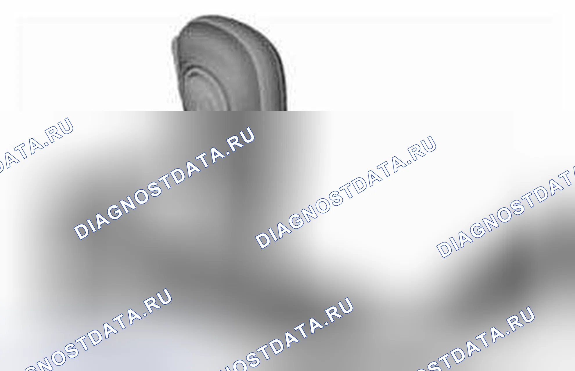 Рис. 186. Ford Pickup F250 Super Duty II
