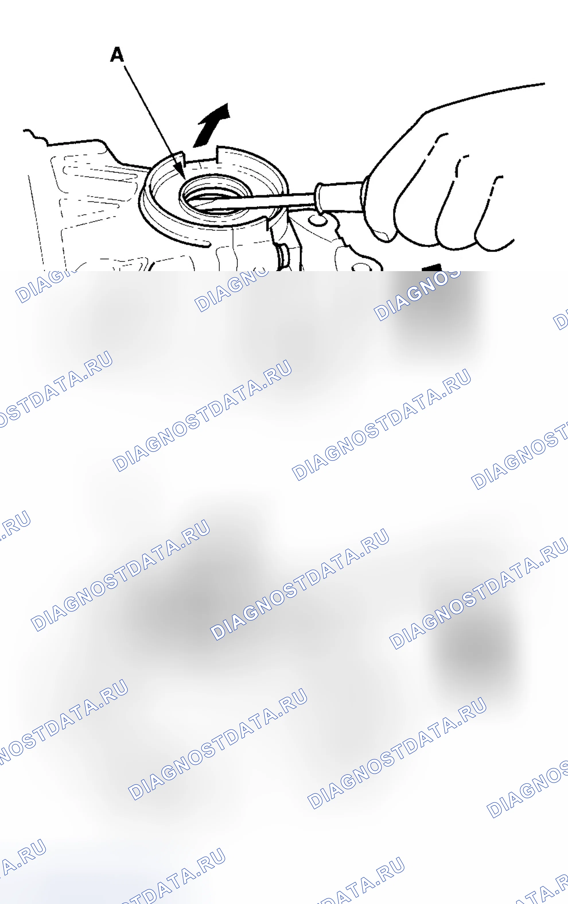Рис. 20. Honda Element YH2