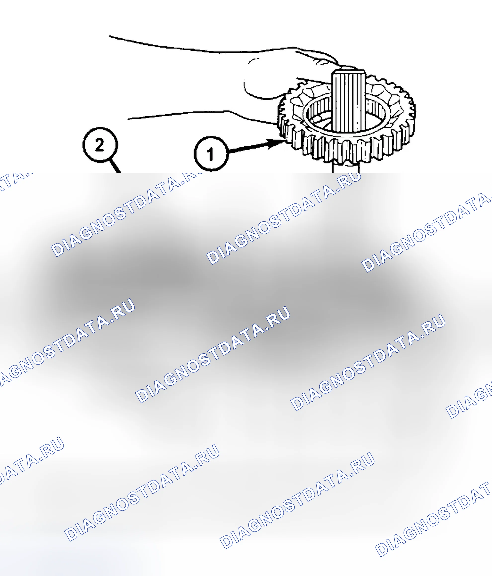 Рис. 238: ПЕРЕДНИЙ ВЫХОДНОЙ ВАЛ И ПРИВОДНАЯ ЦЕПЬ. Jeep Liberty I