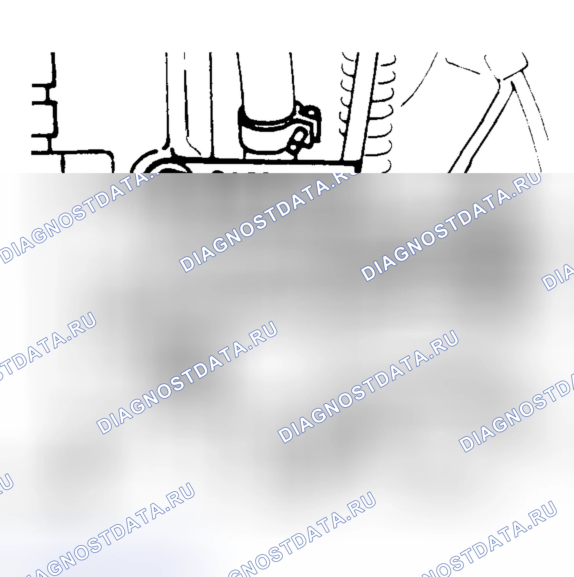 Рис. 2. Kia Picanto I