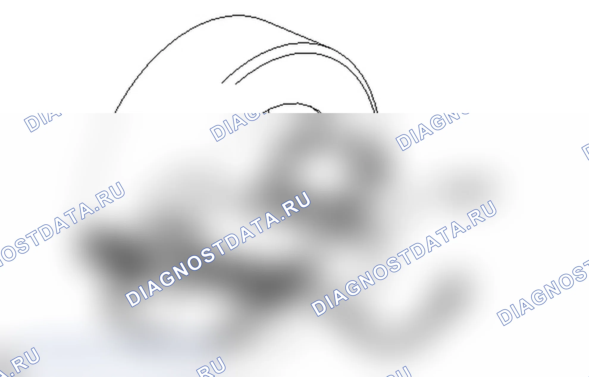 Рис. 43. Lexus IS F I