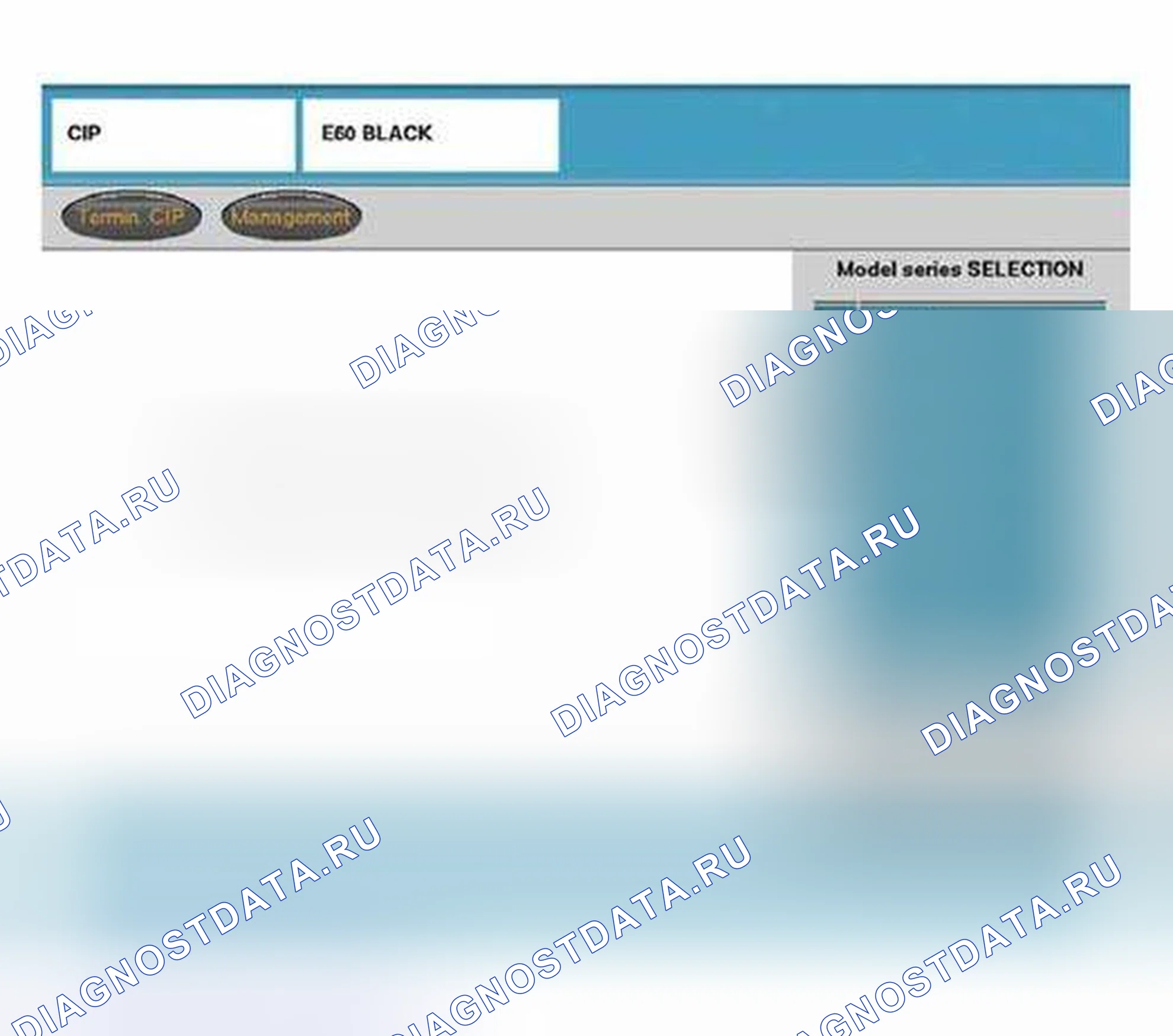Рис. 302: Доступ к функциям CIP для E60/E62/E63/E64/E65/E83/E85.. BMW M5 E39
