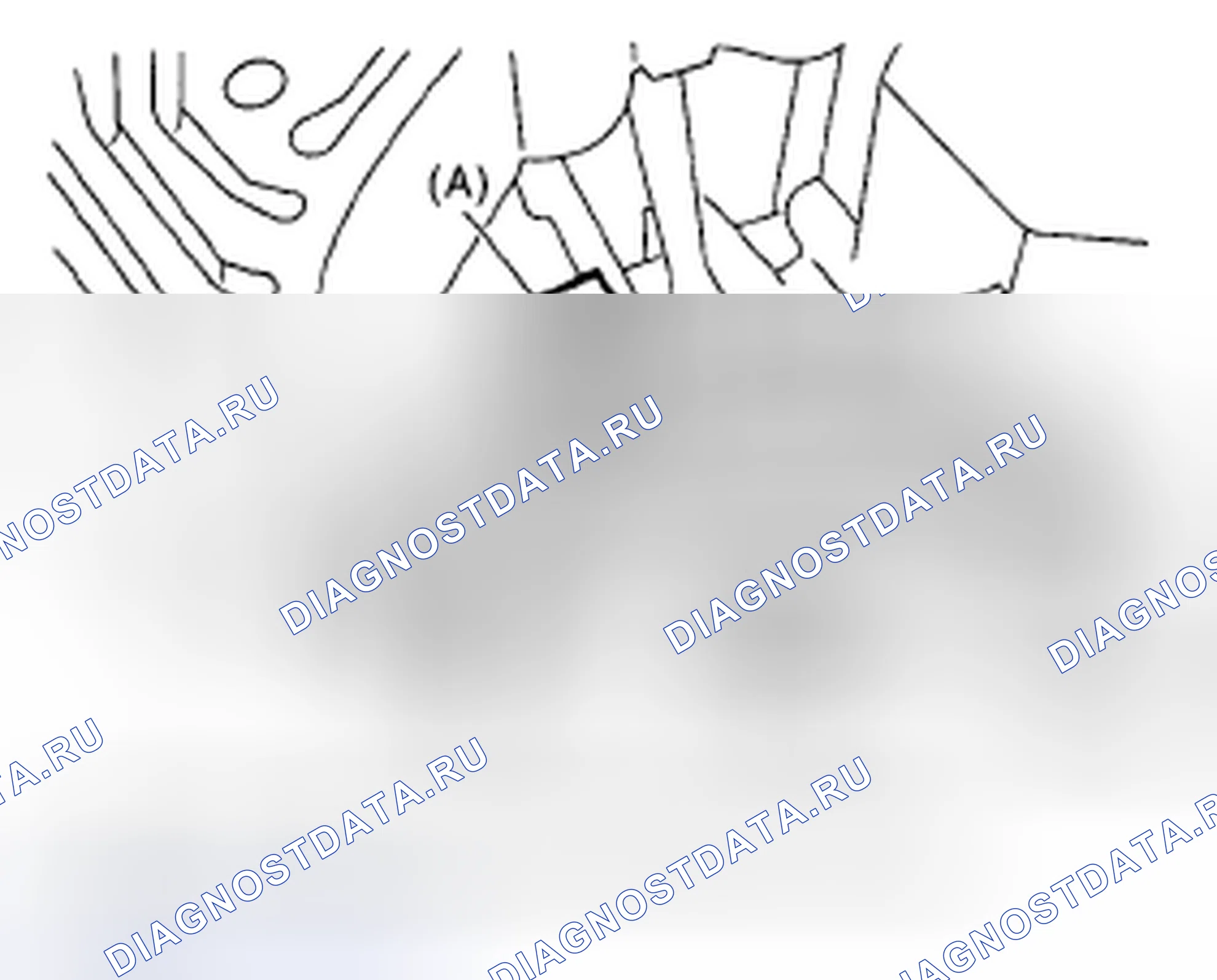 Рис. 508. Subaru Legacy BL/BP рестайлинг