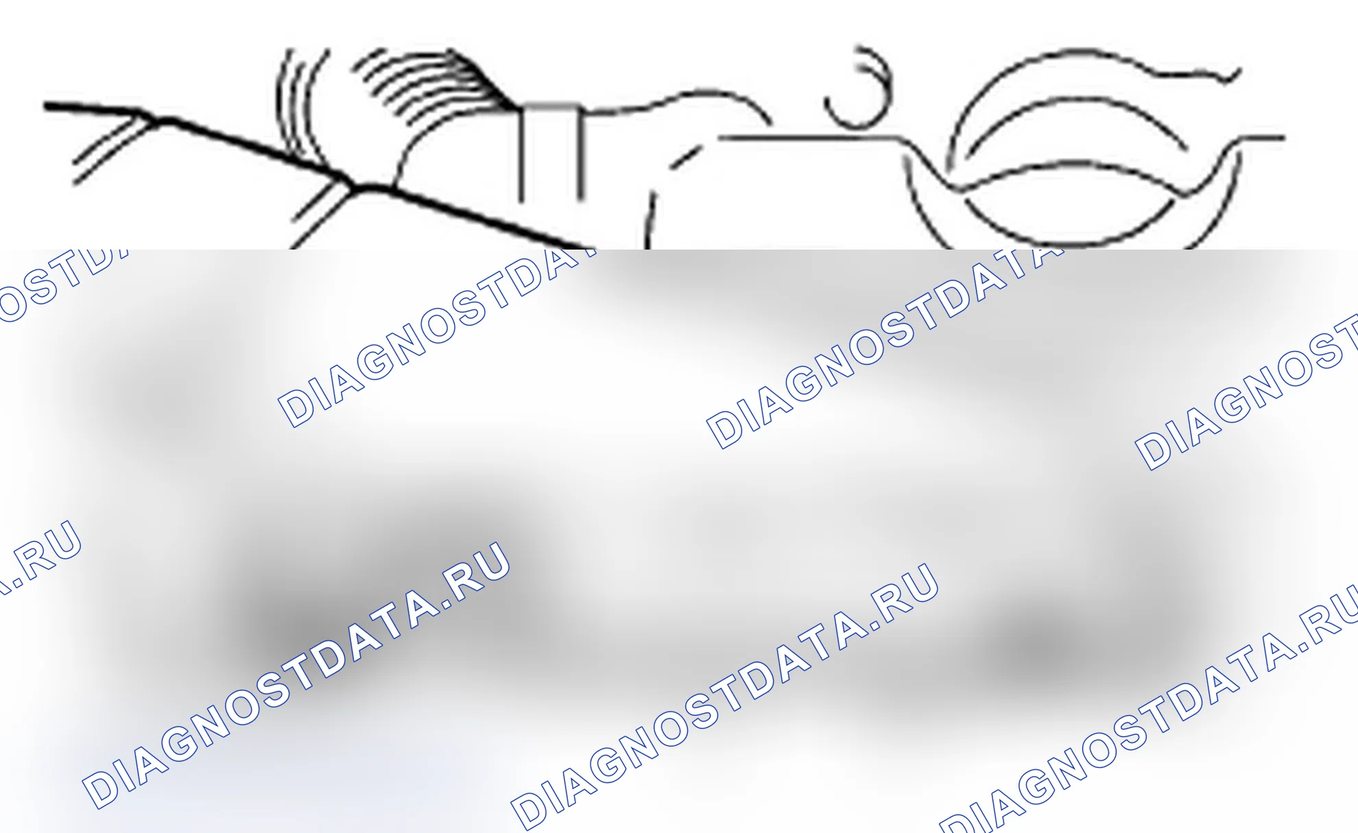 Рис. 73. Subaru Impreza WRX GD/GG рестайлинг 2