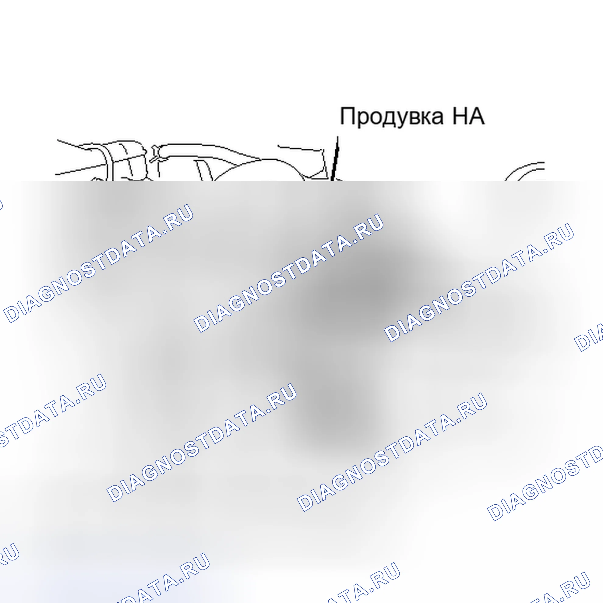 Рис. 316. Scion xD I
