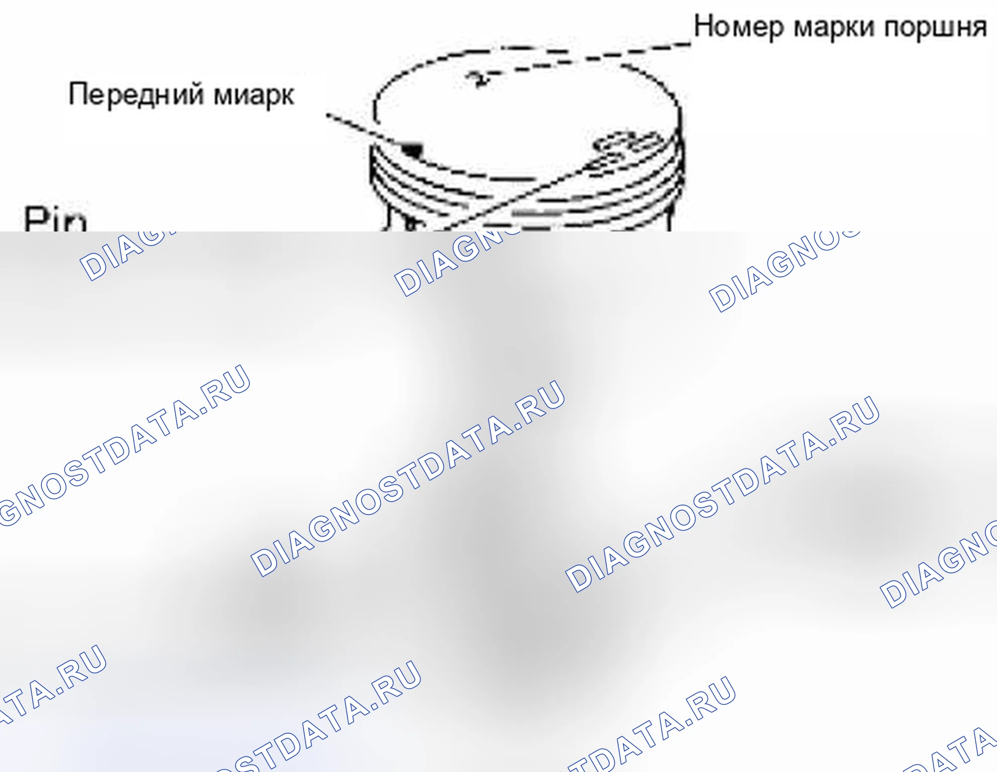 Рис. 366. Suzuki Equator I