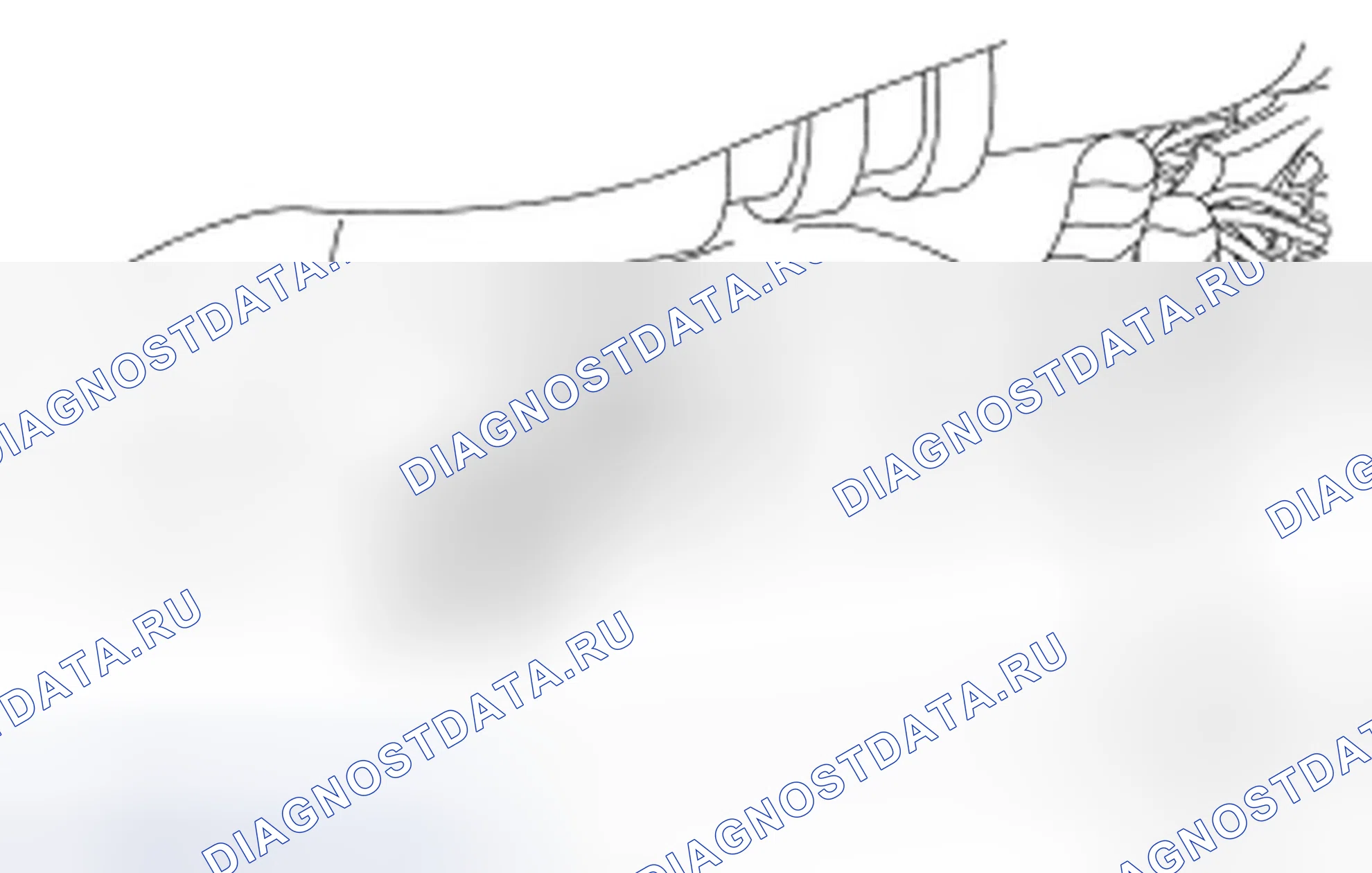 Рис. 89. Ford Focus II