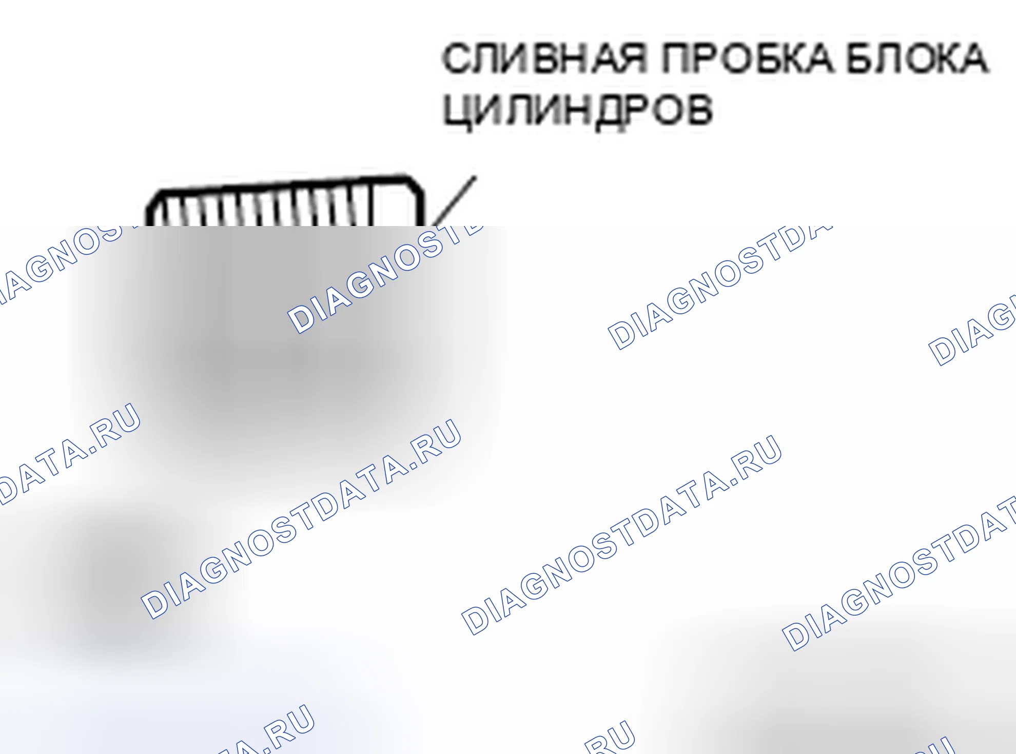Рис. 65. Honda Crosstour I