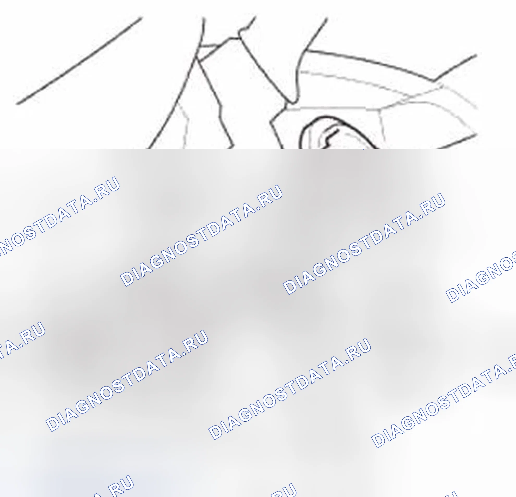Рис. 212. Honda Civic IX