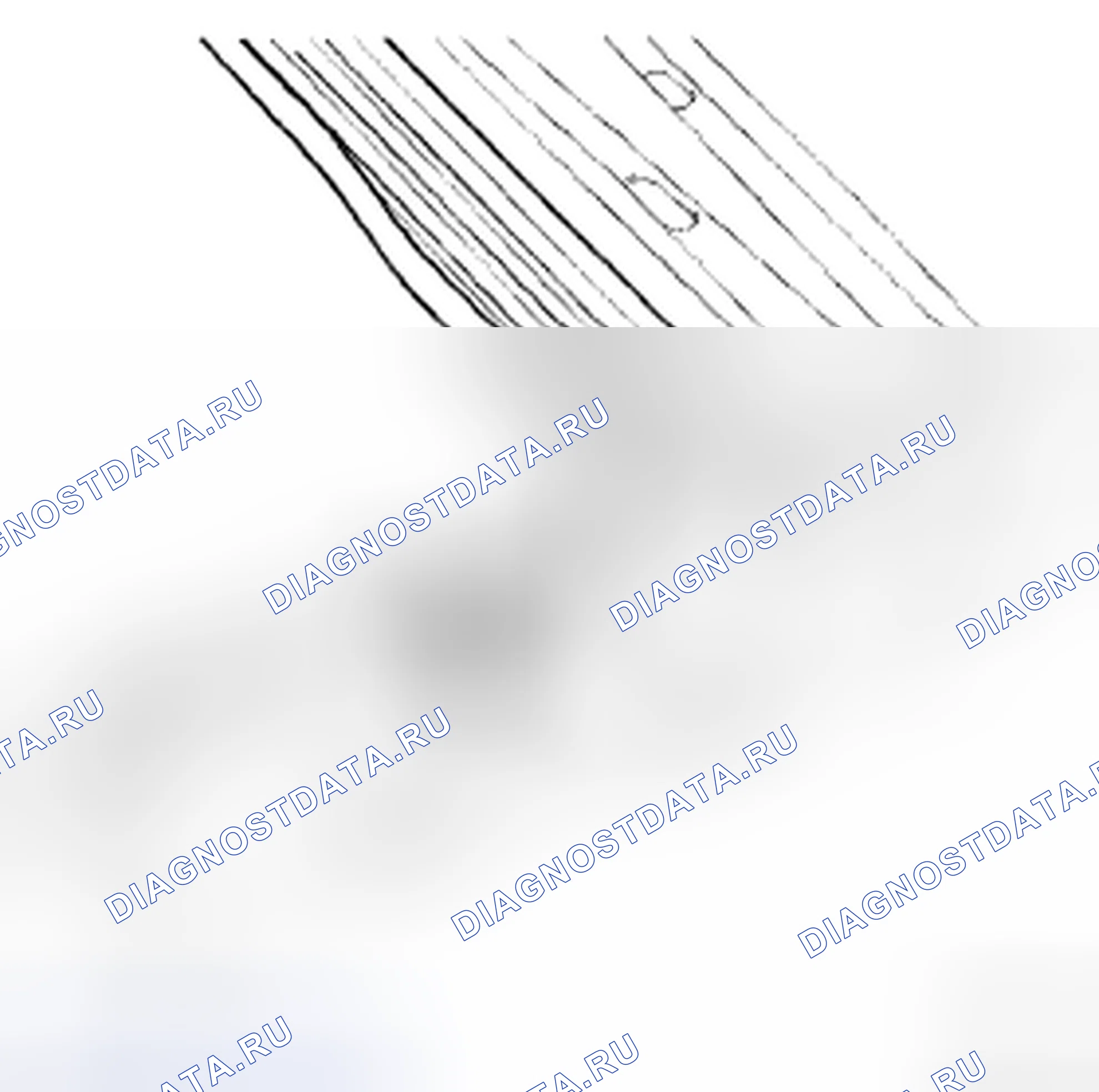 Рис. 12. Honda Accord IX