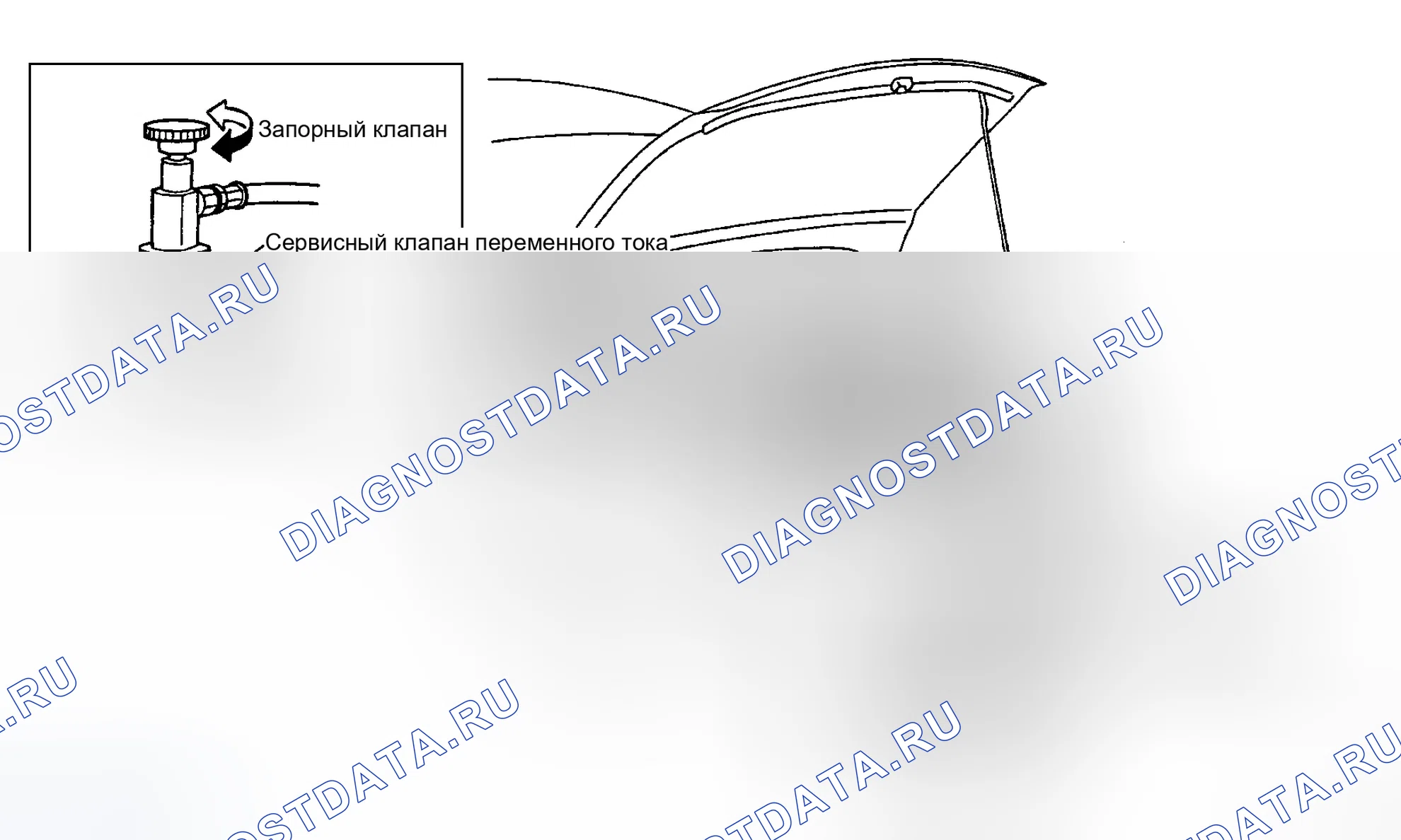 Рис. 251. Infiniti M35 III