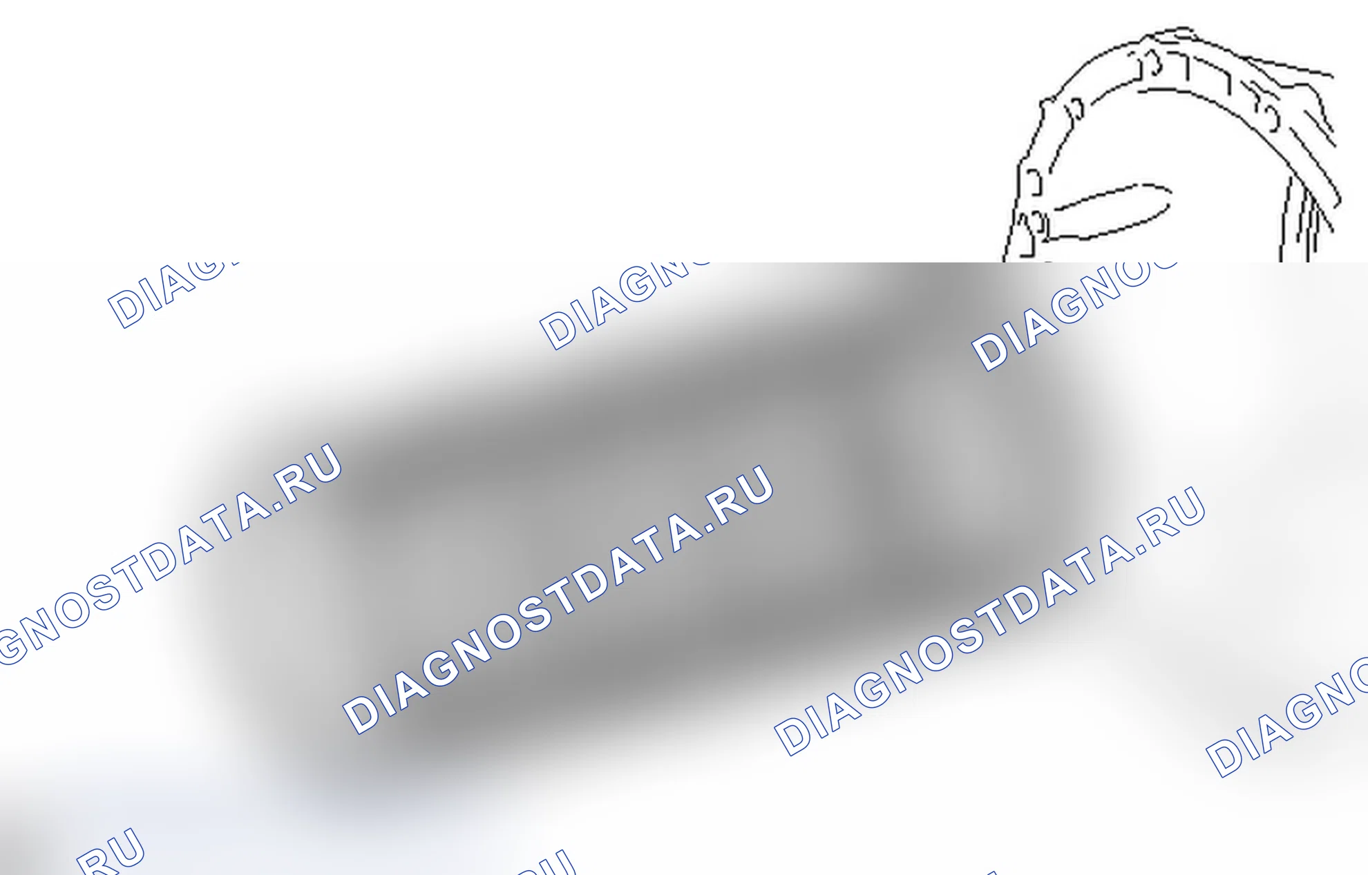 Рис. 246. Lexus IS F I