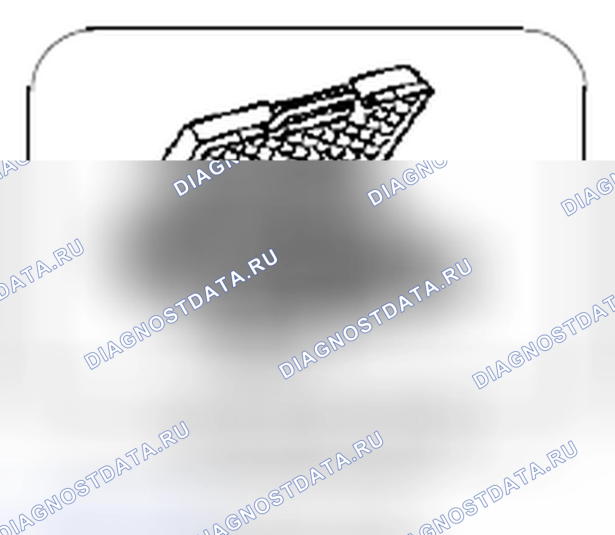 Рис. 246. Kia Soul I