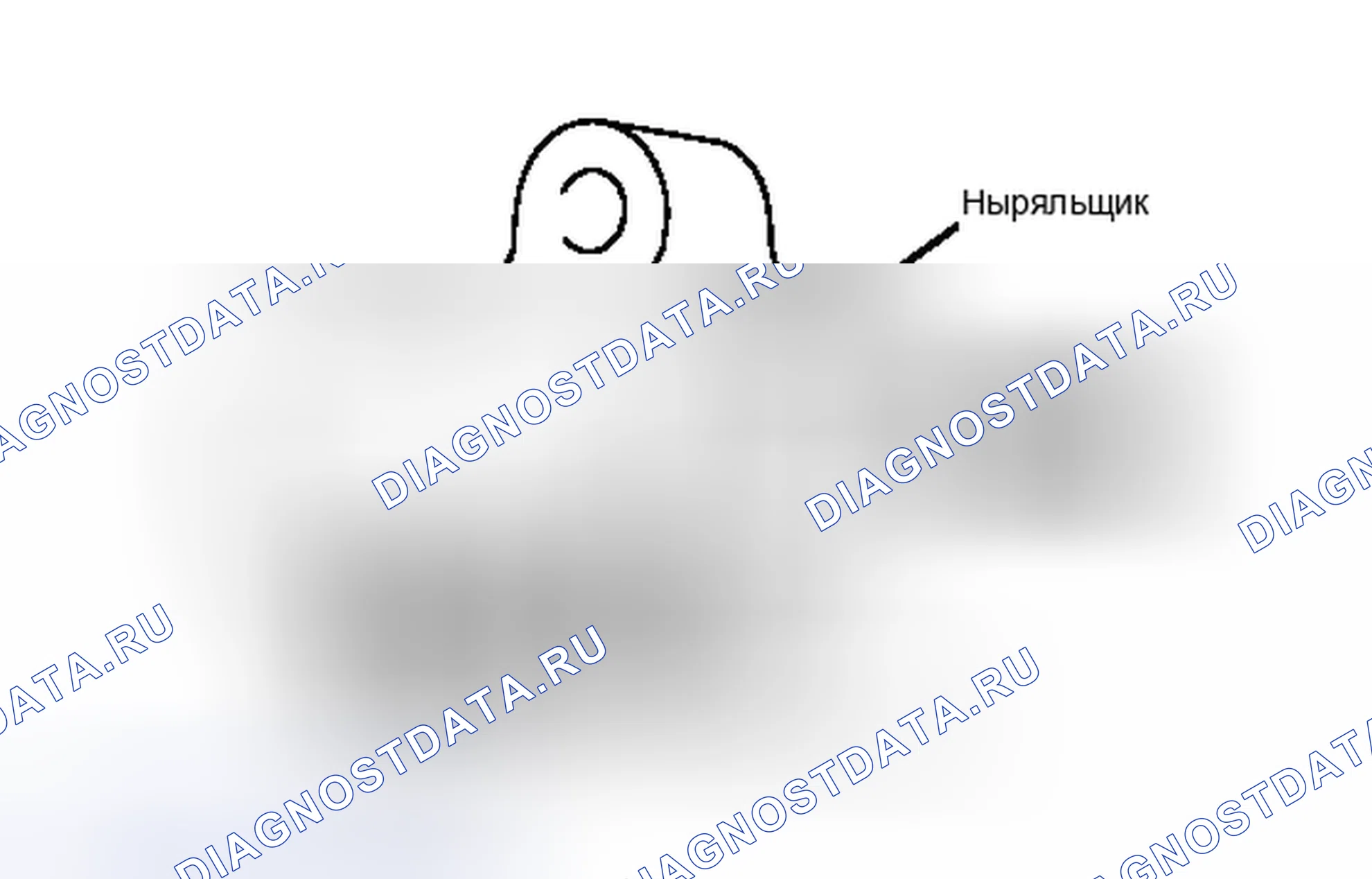Рис. 245. Toyota RAV4 III рестайлинг