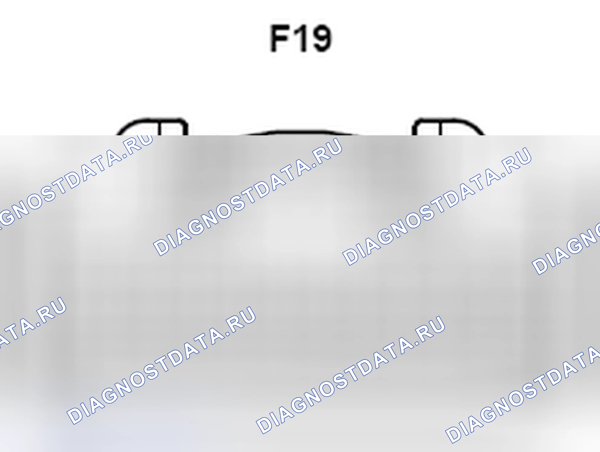 Рис. 1242: Вид с торца разъема усилителя стереокомпонента (F19). Toyota Camry XV40