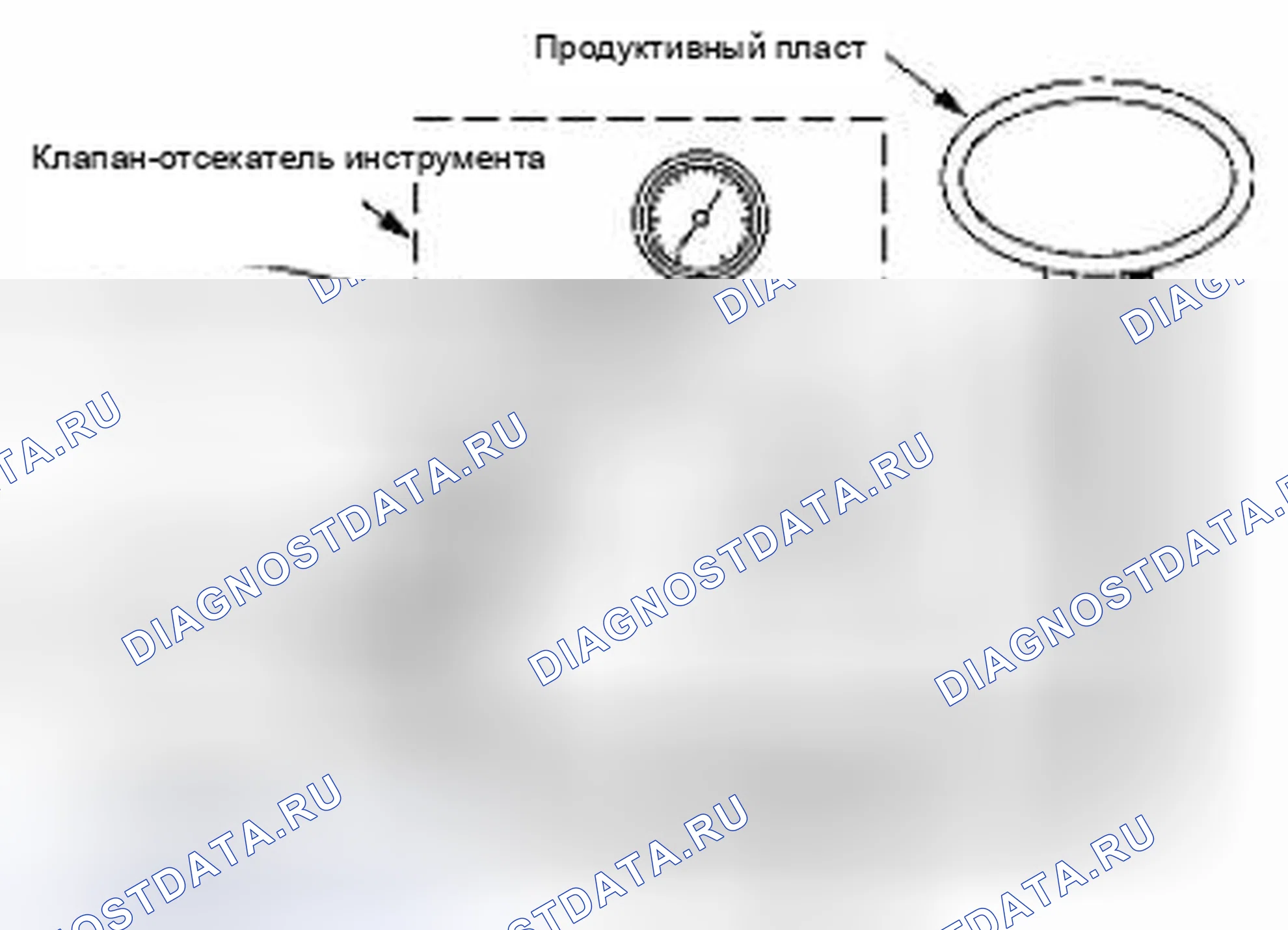 Рис. 6. Suzuki Equator I