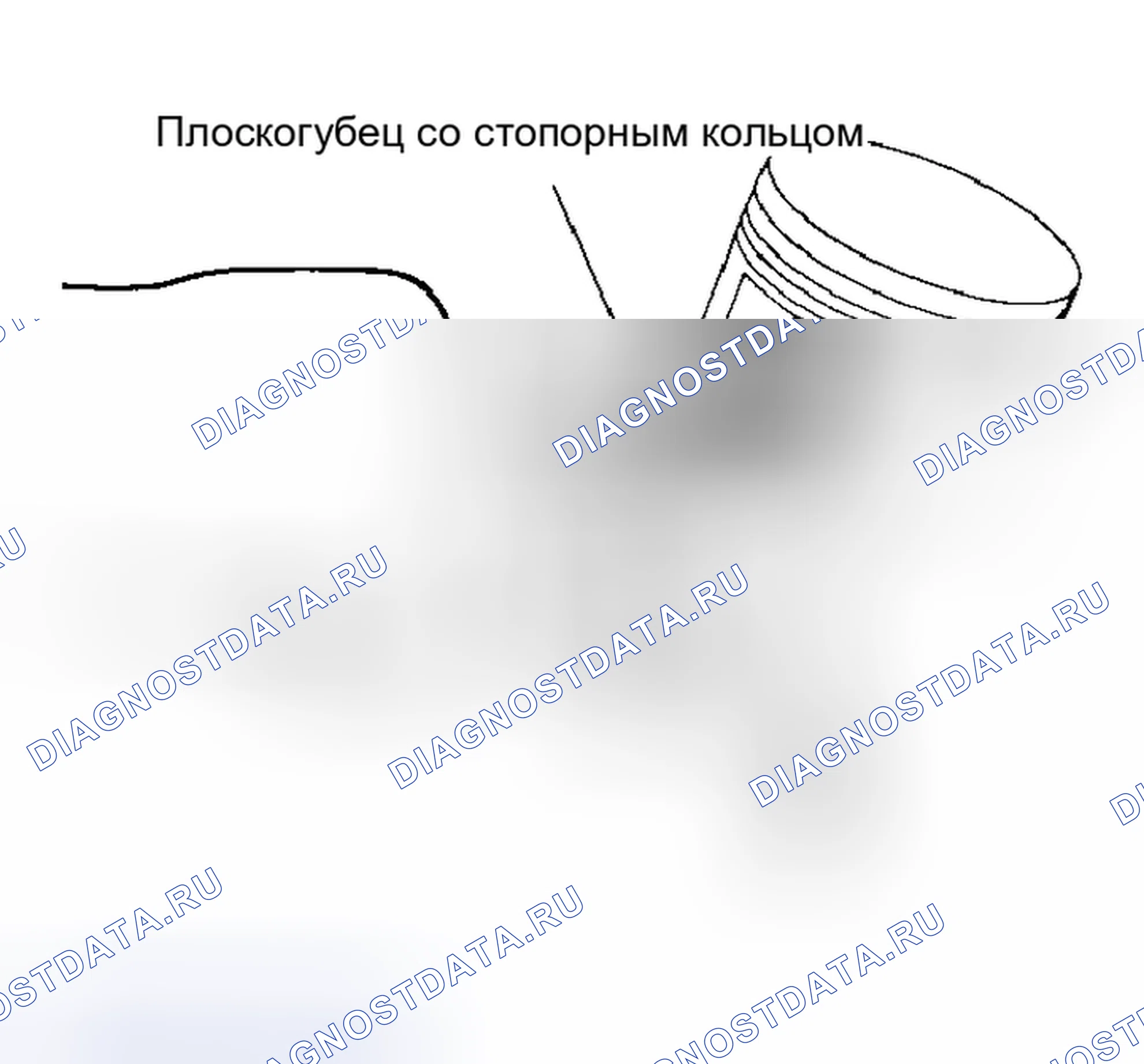 Рис. 59. Nissan Altima L31 рестайлинг