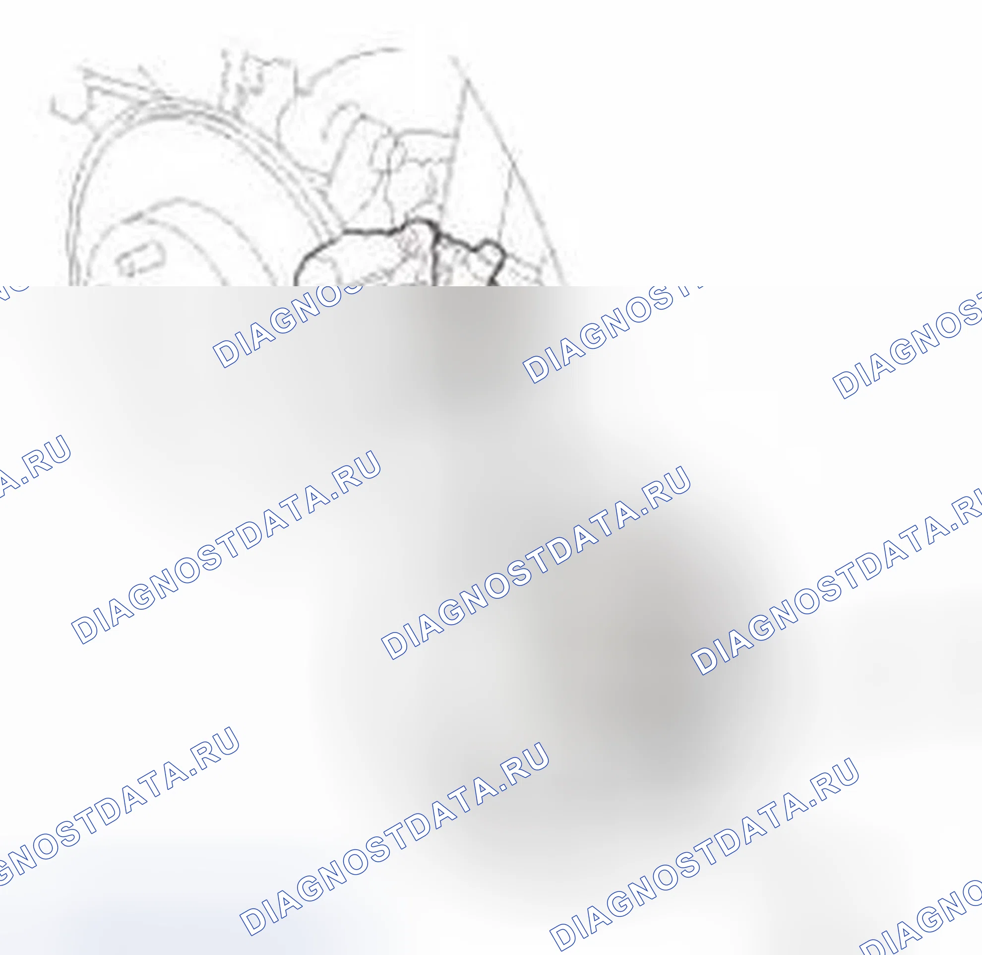 Рис. 514. Honda Civic IX
