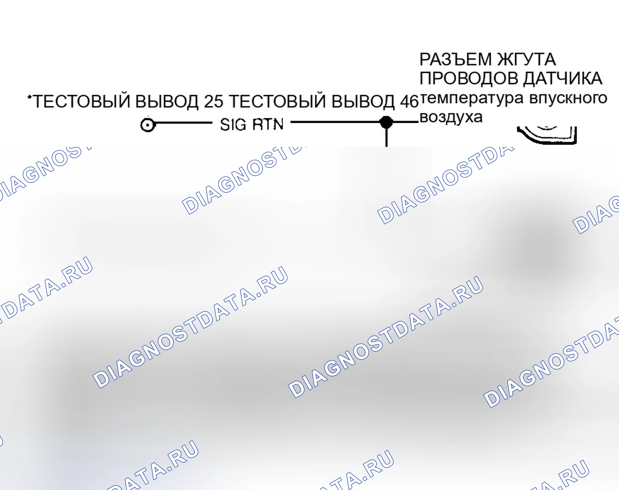 Рис. 31: Идентификация цепей датчика температуры и клемм соединителя. Ford Crown Victoria I