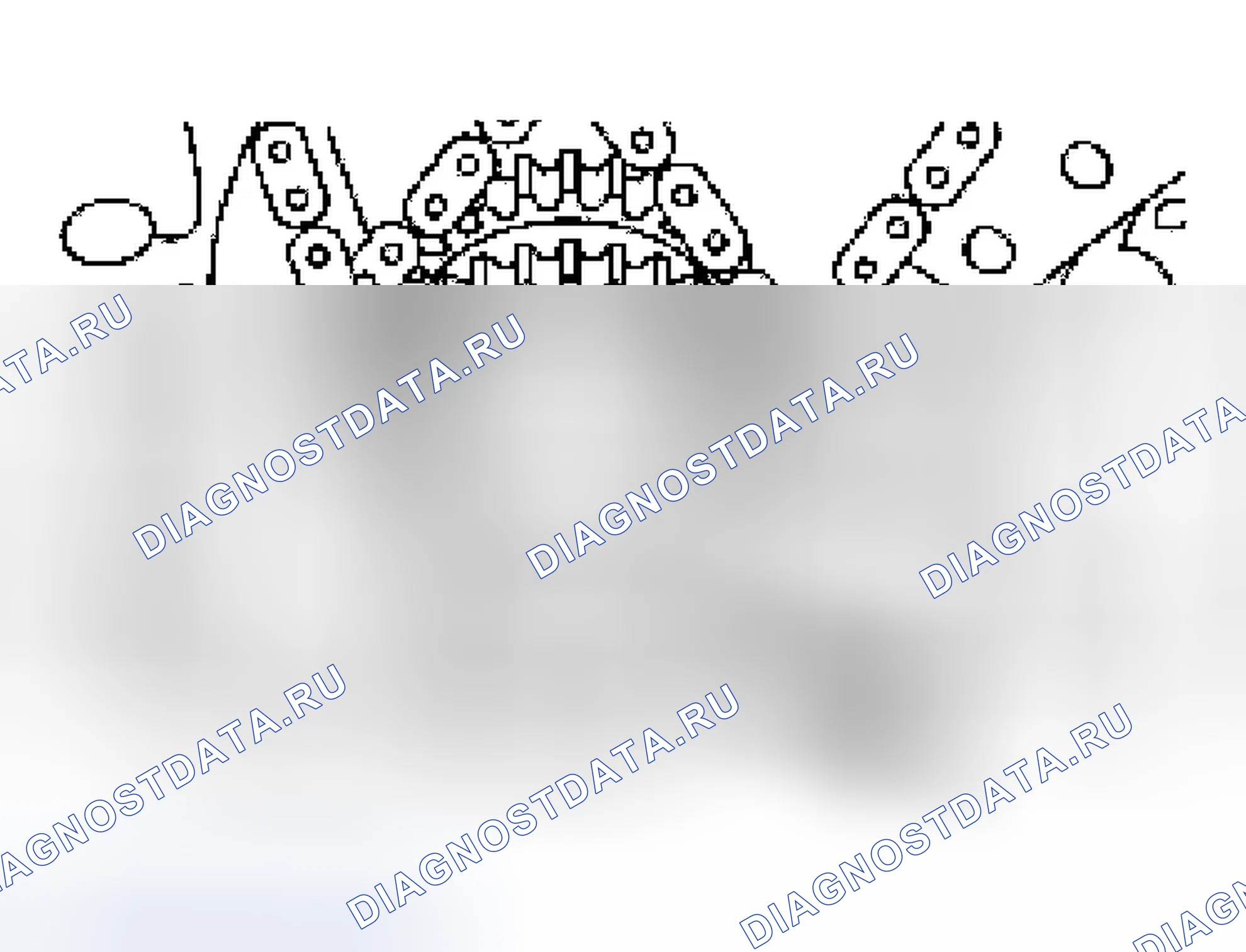 Рис. 257. Ford Escape I