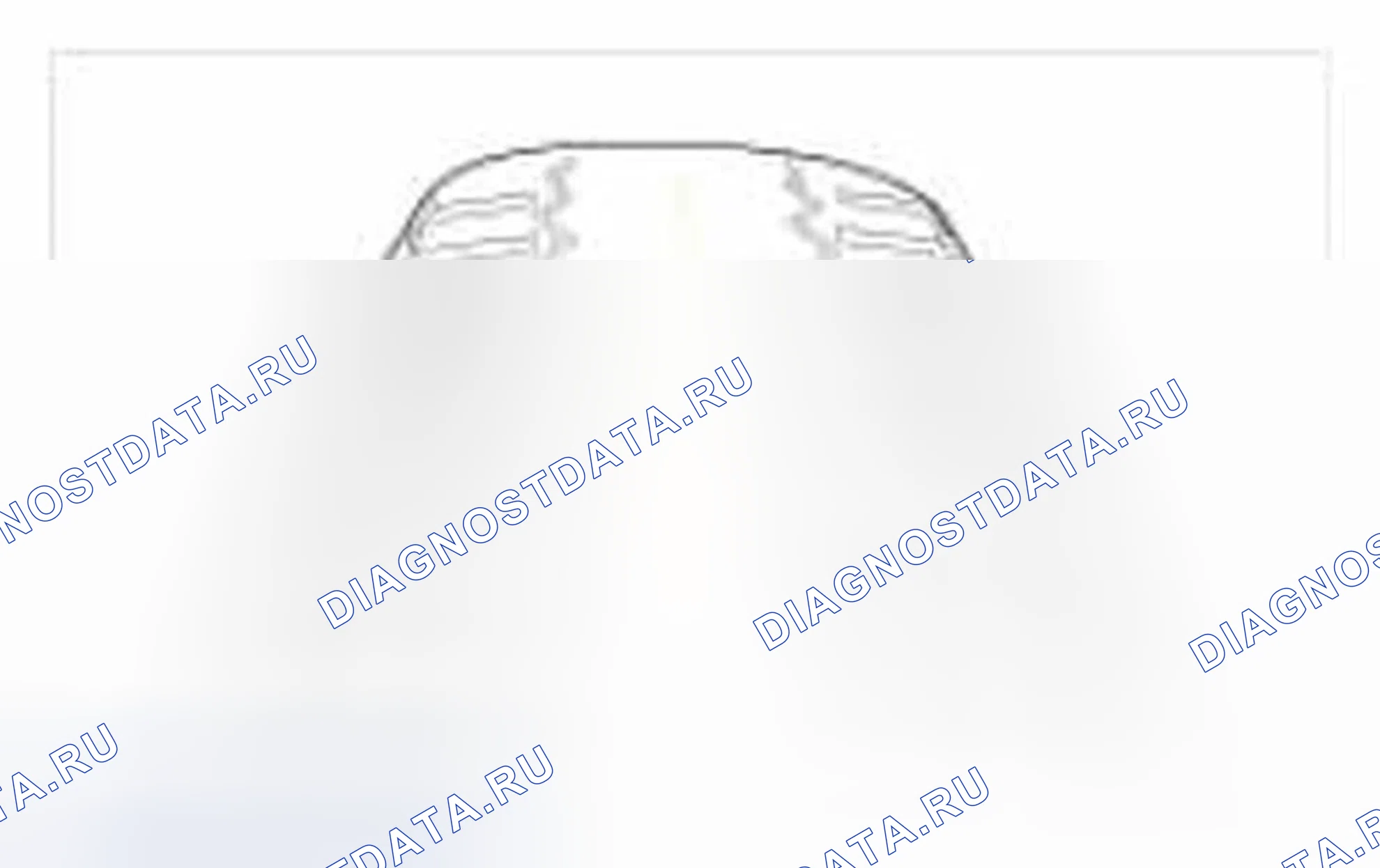 Рис. 1. Hyundai Azera II